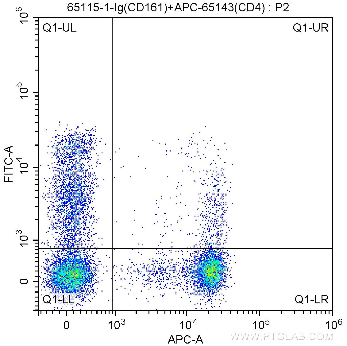 1X10^6 human peripheral blood lymphocytes were surface stained with APC Anti-Human CD4 (APC-65143, Clone: RPA-T4), and 1 ug Anti-Human CD161 (65115-1-Ig, Clone: HP-3G10) and FITC anti-mouse IgG1 antibody at dilution 1:200. Cells were not fixed.
