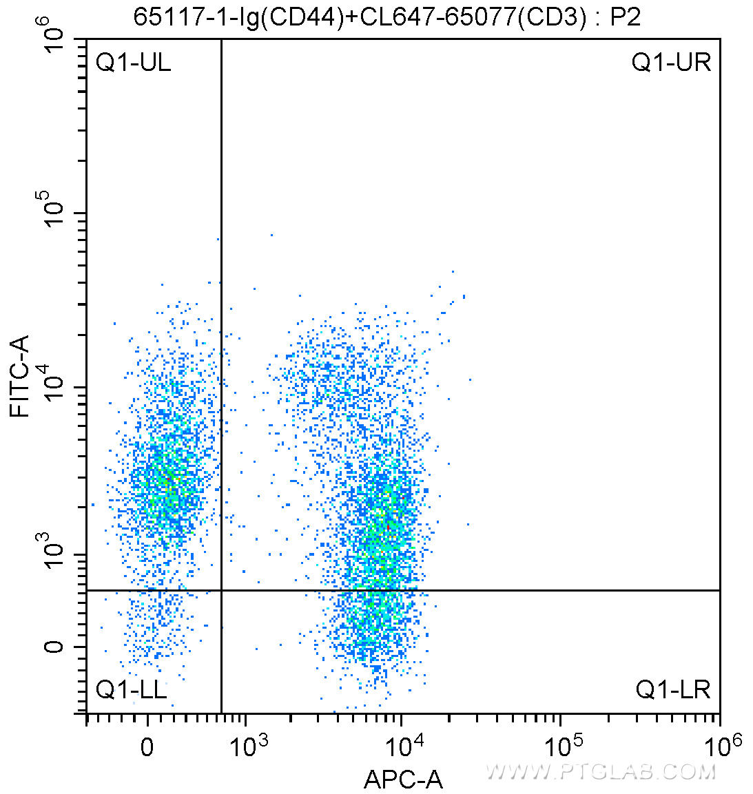 1X10^6 mouse splenocytes were surface stained with 5 ul CoraLite®647 Anti-Mouse CD3 (CL647-65077, Clone: 17A2), and 0.5 ug Anti-Mouse CD44 (65117-1-Ig, Clone: IM7) and FITC anti-rat IgG2b Antibody at dilution 1:200. Cells were not fixed.