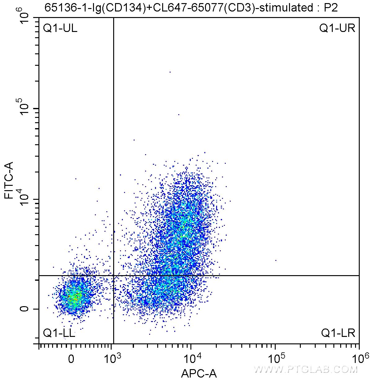 1X10^6 Con A-stimulated (3 ug/ml, 2 days) BALB/c mouse splenocytes were surface stained with CoraLite®647-Conjugated Anti-Mouse CD3 (CL647-65077, Clone: 17A2), 0.5 ug Anti-Mouse CD134 (65136-1-Ig, Clone: OX-86) and FITC anti-rat IgG1 Antibody at dilution 1:200. Cells were not fixed.