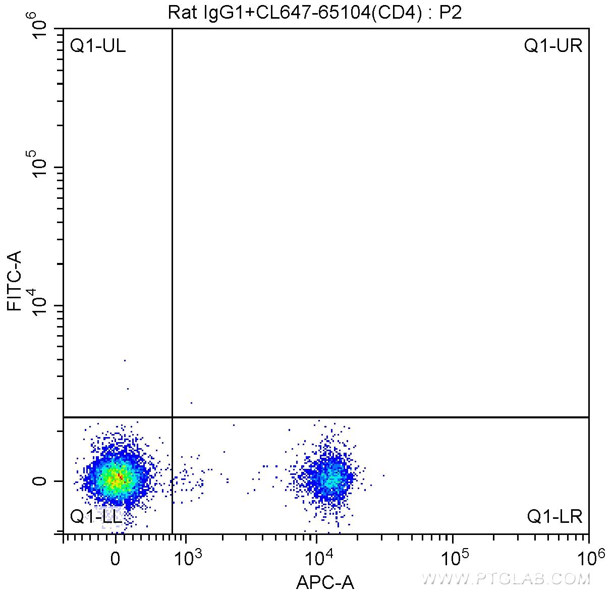 1X10^6 BALB/c mouse splenocytes were surface stained with CoraLite®647-conjugated Anti-Mouse CD4 (CL647-65104, Clone:GK1.5), and 0.25 ug Rat IgG1 Isotype Control and FITC Anti-Rat IgG1 Antibody at dilution 1:200. Samples were not fixed.
