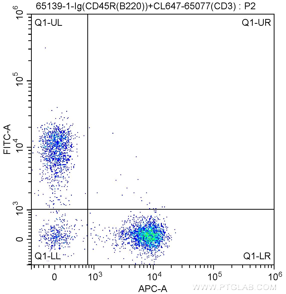 1X10^6 C57BL/6 mouse splenocytes were surface stained with 5 ul CoraLite®647-conjugated Anti-Mouse CD3 (CL647-65077, Clone: 17A2), and 0.5 ug Anti-Mouse CD45R (B220) (65139-1-Ig, Clone: RA3-6B2) and FITC Anti-Rat IgG2a Antibody at dilution 1:200. Cells were not fixed.