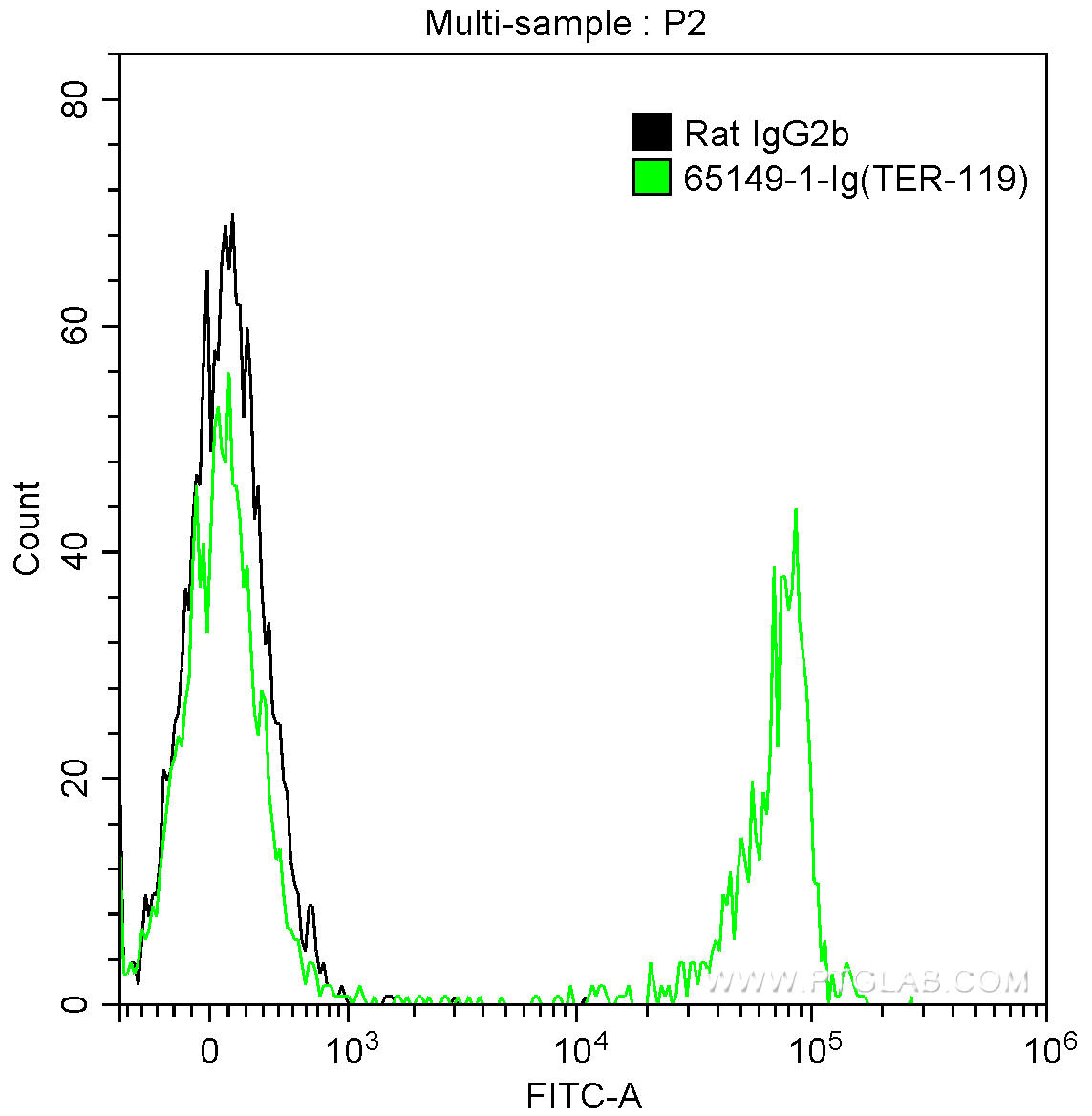 1X10^6 mouse bone marrow cells were surface stained with 0.5 ug Anti-Mouse TER-119 (65149-1-Ig, Clone: TER-119) and FITC Anti-Rat IgG2b Antibody at dilution 1:200 (green), or stained with 0.5 ug Rat IgG2b Isotype Control and FITC Anti-Rat IgG2b Antibody at dilution 1:200 (black). Samples were not fixed.