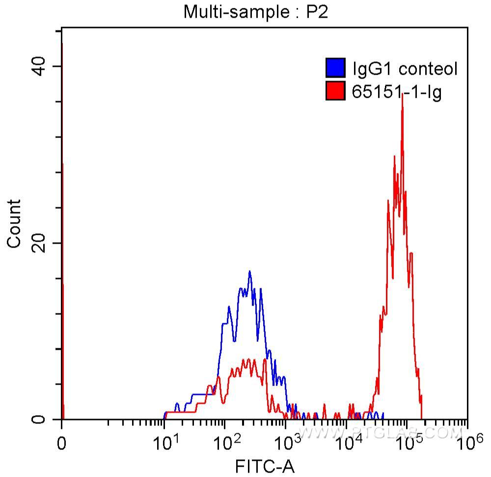 1X10^6 human peripheral blood lymphocytes were surface stained with 1.00 ug Anti-Human CD3 (65151-1-Ig, Clone: UCHT1) (red) or 1.00 ug isotype control antibody (blue) and CoraLite®488-Conjugated AffiniPure Goat Anti-Mouse IgG(H+L) with dilution 1:1000. Samples were not fixed.