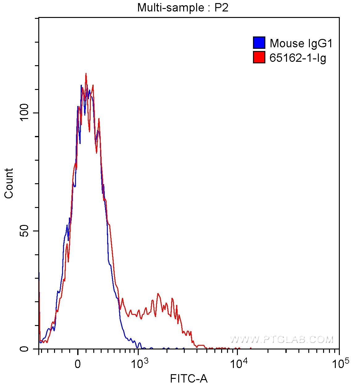 1X10^6 human peripheral blood lymphocytes were surface stained with 0.5 ug Anti-Human CD73 (65162-1-Ig, Clone: AD2) and CoraLite®488-Conjugated AffiniPure Goat Anti-Mouse IgG(H+L) at dilution of 1:1000 (red), or with 0.5 ug mouse IgG1 isotype control antibody and CoraLite®488-Conjugated AffiniPure Goat Anti-Mouse IgG(H+L) at dilution of 1:1000 (blue). Samples were not fixed.