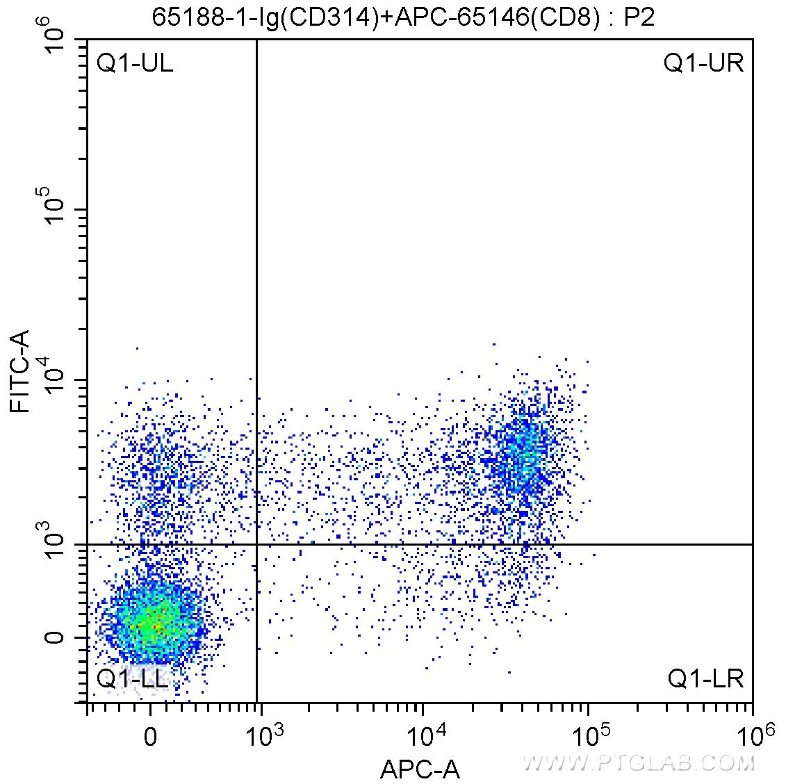 1X10^6 human peripheral blood lymphocytes were surface stained with APC Anti-Human CD8 (APC-65146, Clone: SK1), and 0.5 ug Anti-Human CD314 (65188-1-Ig, Clone: 1D11) and FITC Anti-Mouse IgG1 Antibody. Cells were not fixed.
