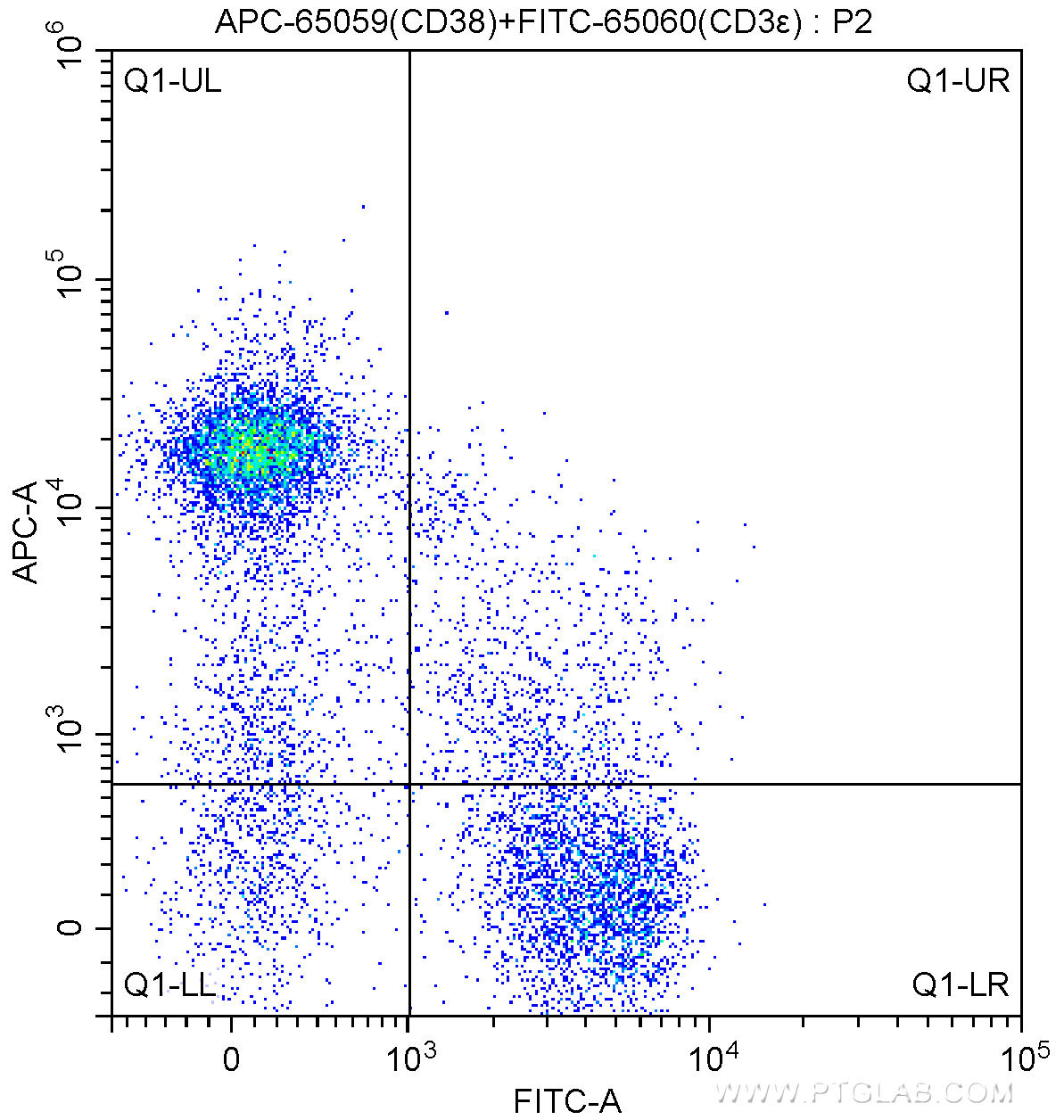 1X10^6 C57BL/6 mouse splenocytes were surface stained with FITC Anti-Mouse CD3ε (FITC-65060, Clone: 145-2C11) and 0.20 ug APC Anti-Mouse CD38 (APC-65059, Clone: 90). Cells were not fixed.