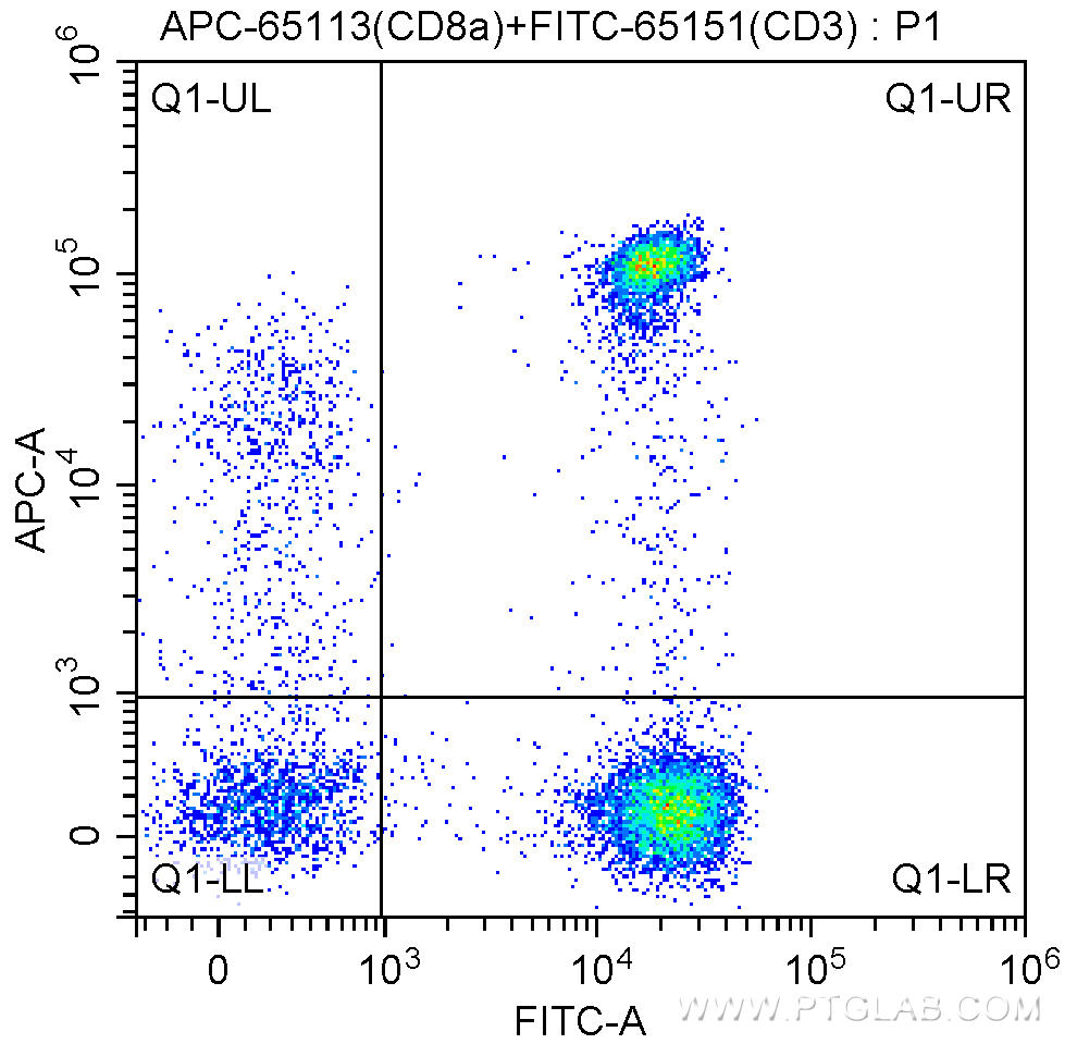 1X10^6 human peripheral blood lymphocytes were surface stained with FITC Anti-Human CD3 (FITC-65151, Clone: UCHT1) and 5.00 ul APC Anti-Human CD8a (APC-65113, Clone: Hit8a). Cells were not fixed.