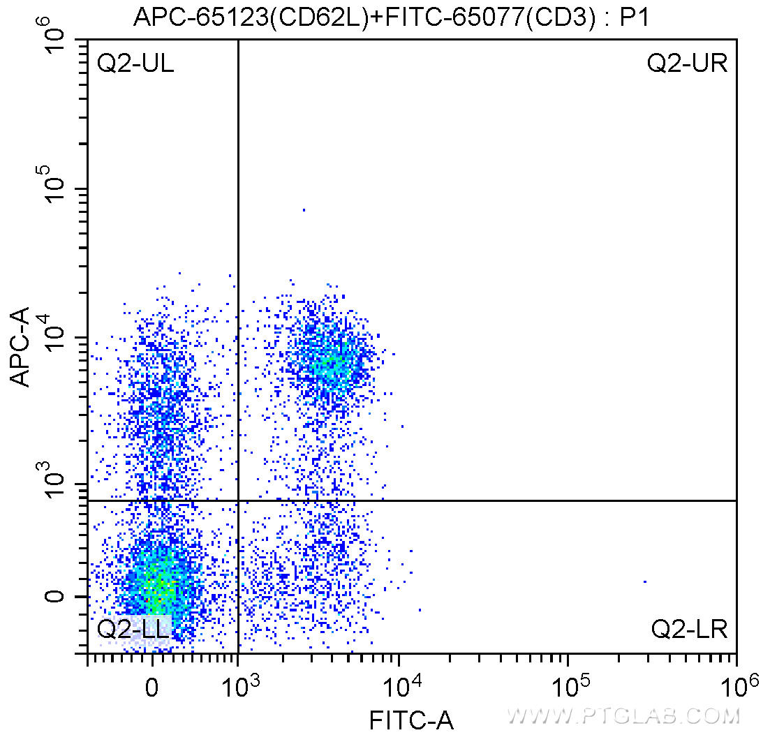 1X10^6 C57BL/6 mouse splenocytes were surface stained with FITC-Anti-Mouse CD3 (FITC-65077, Clone: 17A2) and 0.06 ug APC-Anti-Mouse CD62L (L-Selectin) (APC-65123, Clone: MEL-14). Cells were not fixed.