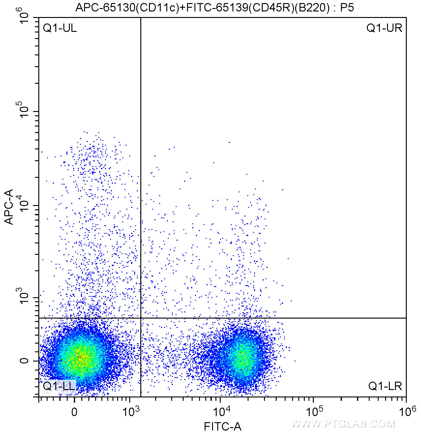 1X10^6 C57BL/6 mouse splenocytes were surface stained with FITC Anti-Mouse CD45R (B220) (FITC-65139, Clone: RA3-6B2) and 0.13 ug APC Anti-Mouse CD11c (APC-65130, Clone: N418). Cells were not fixed.
