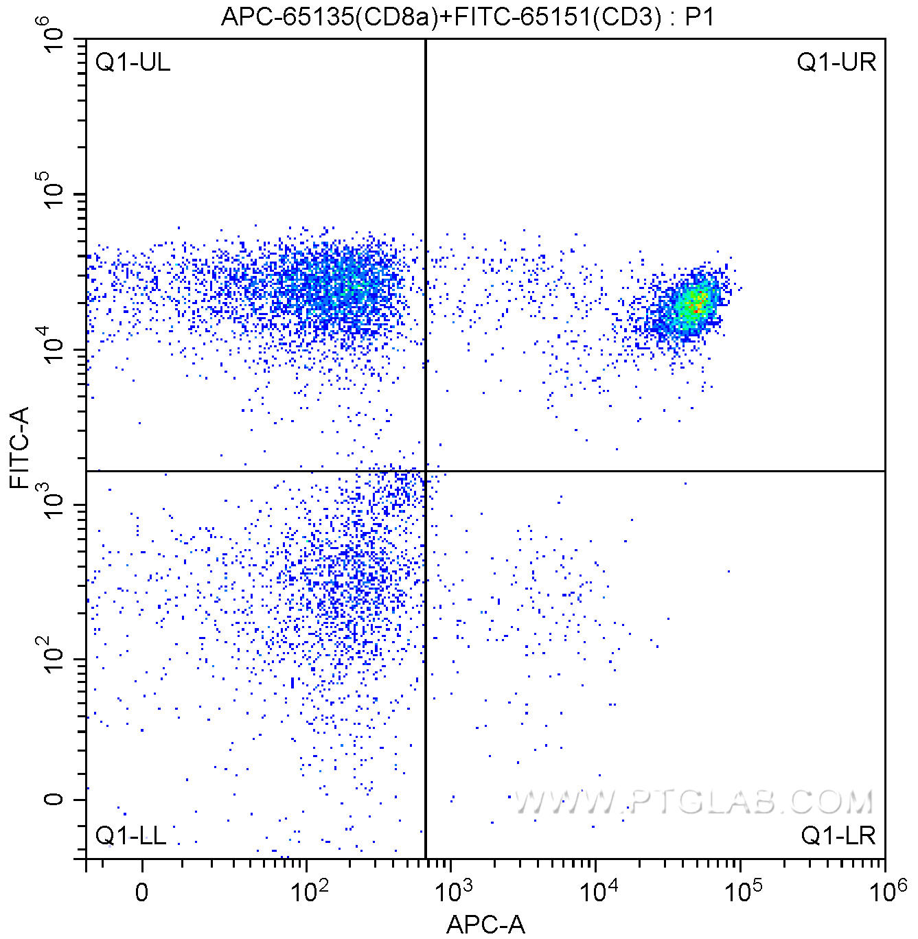 1X10^6 human peripheral blood lymphocytes were surface stained with FITC Anti-Human CD3 (FITC-65151,?clone UCHT1) and 5.00 ul/test APC Anti-Human CD8a (APC-65135, Clone:OKT8). Sample were not fixed.