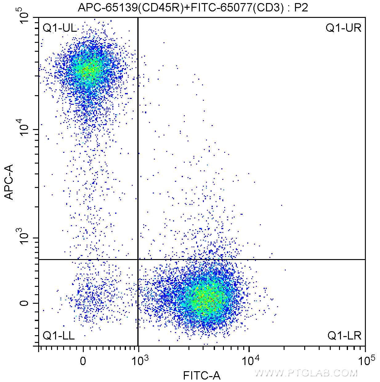 1X10^6 C57BL/6 mouse splenocytes were surface stained with FITC-Anti-Mouse CD3 (FITC-65077, Clone: 17A2) and 0.25 ug APC Anti-Mouse CD45R (B220) (APC-65139, Clone: RA3-6B2). Cells were not fixed.