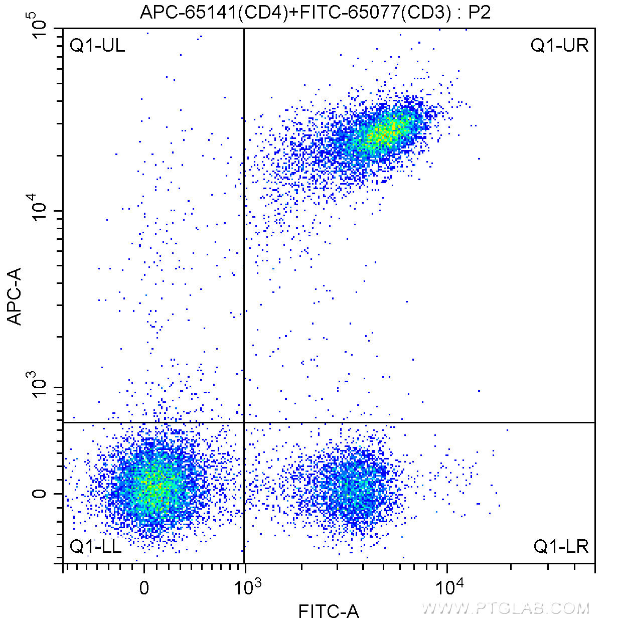 1X10^6 C57BL/6 mouse splenocytes were surface stained with FITC-Anti-Mouse CD3 (FITC-65077, Clone: 17A2) and 0.13 ug APC Anti-Mouse CD4 (APC-65141, Clone: RM4-5). Cells were not fixed.