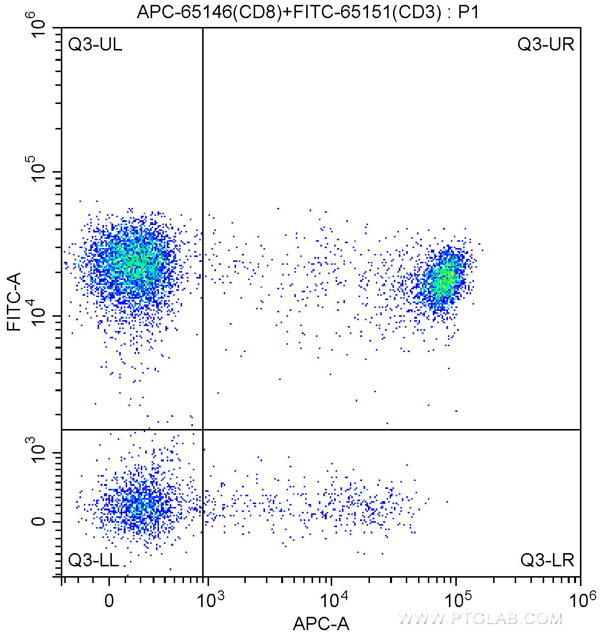 100 ul human peripheral blood were surface stained with FITC Anti-Human CD3 (FITC-65151, Clone: UCHT1) and 5.00 ul APC Anti-Human CD8 (APC-65146, Clone: SK1). Lymphocytes were gated for analysis. Cells were not fixed.