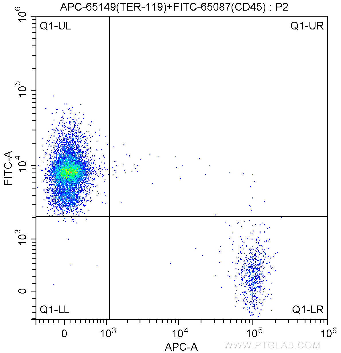 1X10^6 C57BL/6 mouse bone marrow cells were surface stained with FITC-Anti-Mouse CD45 (FITC-65087, Clone: 30-F11) and 0.50 ug APC Anti-Mouse TER-119 (APC-65149, Clone: TER-119). Cells were not fixed.