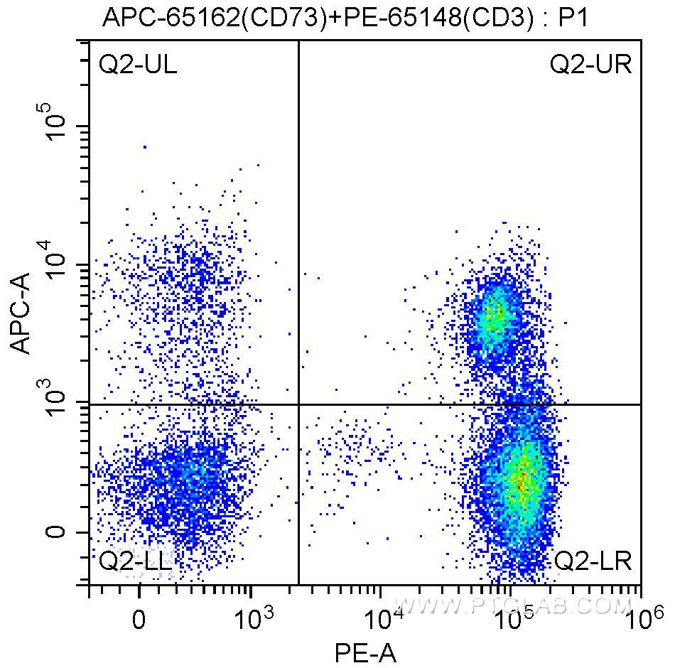 1X10^6 human peripheral blood lymphocytes were surface stained with PE-Anti-Human CD3 (PE-65148, clone SK7) and 10.00 ul/test APC-Anti-Human CD73 (APC-65162, Clone:AD2). Samples were not fixed.
