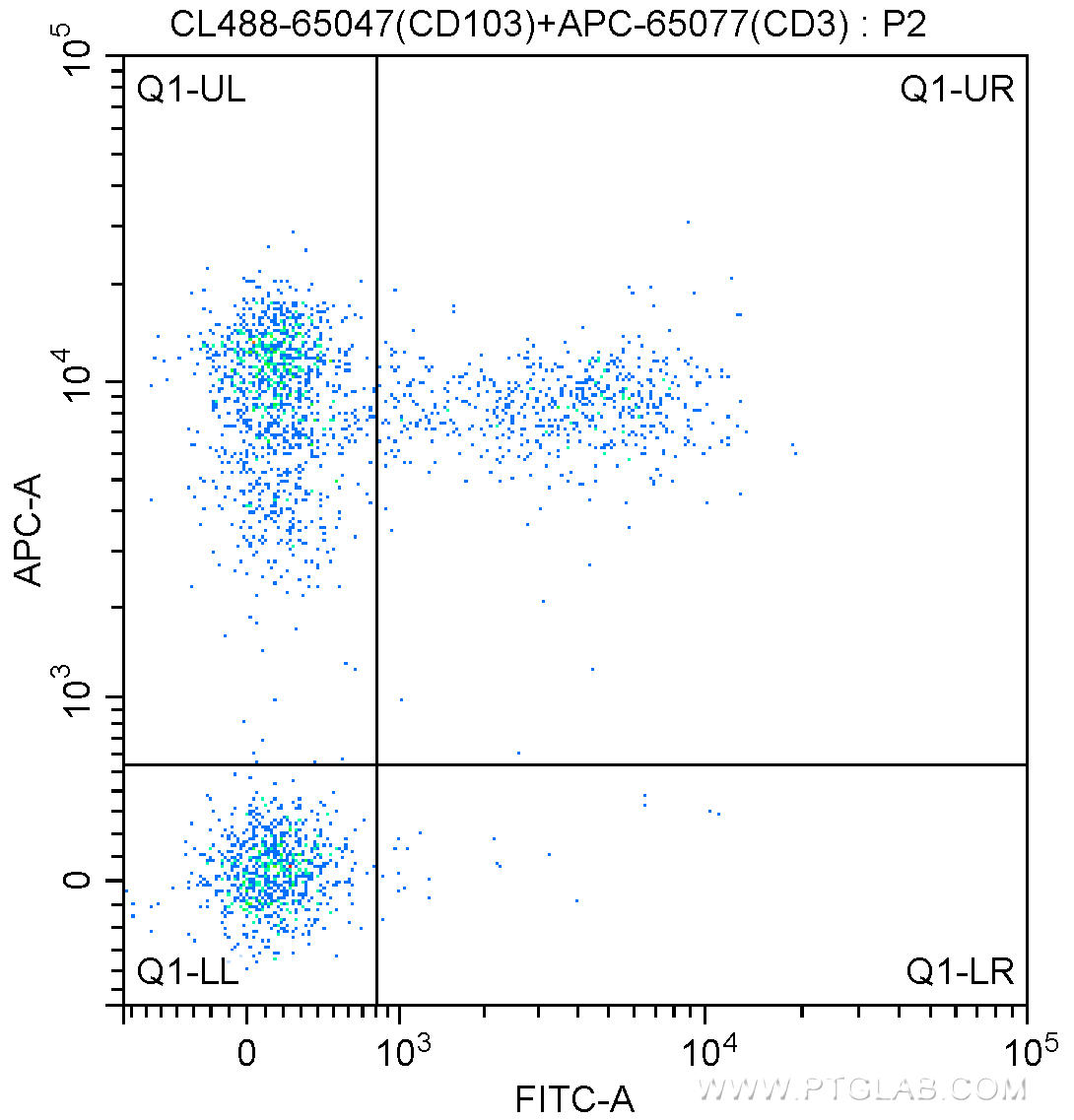 1X10^6 C57BL/6 mouse splenocytes were surface stained with APC-Anti-Mouse CD3 (APC-65077, Clone: 17A2) and 5.00 ul CoraLite®488-conjugated Anti-Mouse CD103 (CL488-65047, Clone: 2E7). Cells were not fixed.