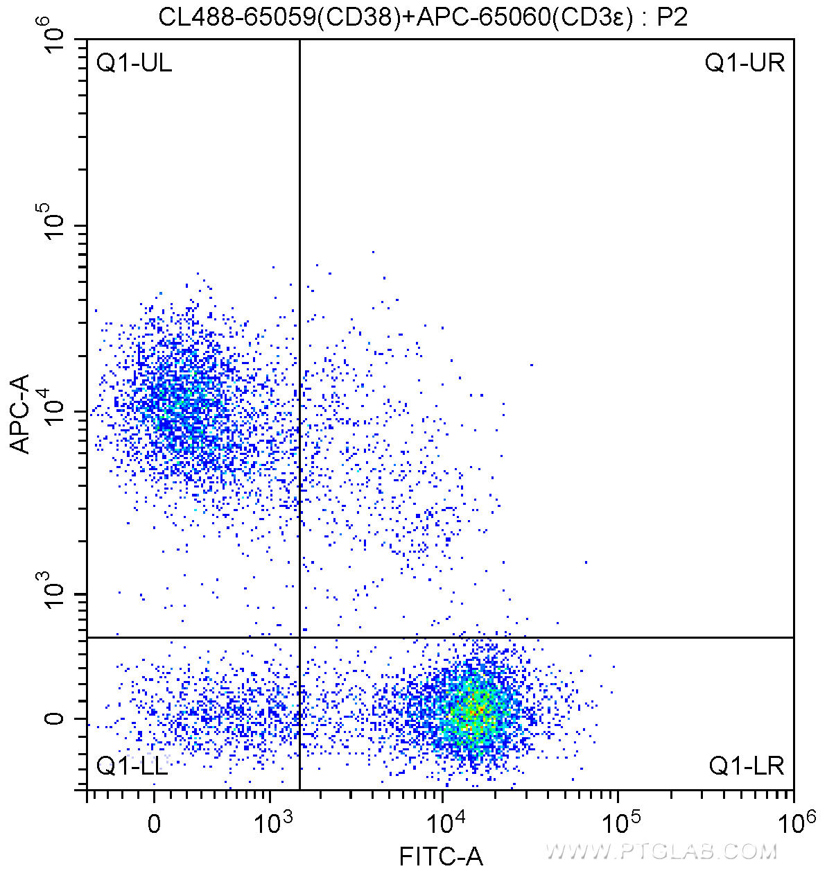 1X10^6 C57BL/6 mouse splenocytes were surface stained with APC Anti-Mouse CD3ε (APC-65060, Clone: 145-2C11) and 5.00 ul CoraLite®488-conjugated Anti-Mouse CD38 (CL488-65059, Clone: 90). Cells were not fixed.
