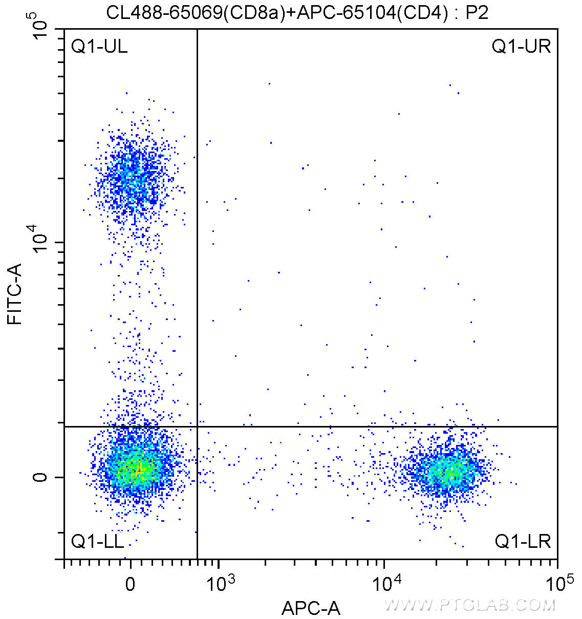 1X10^6 BALB/c mouse splenocytes were surface stained with APC-Anti-Mouse CD4 (APC-65104, Clone: GK1.5) and 5.00 ul CoraLite®488-conjugated Anti-Mouse CD8a (CL488-65069, Clone: 53-6.7). Cells were not fixed.