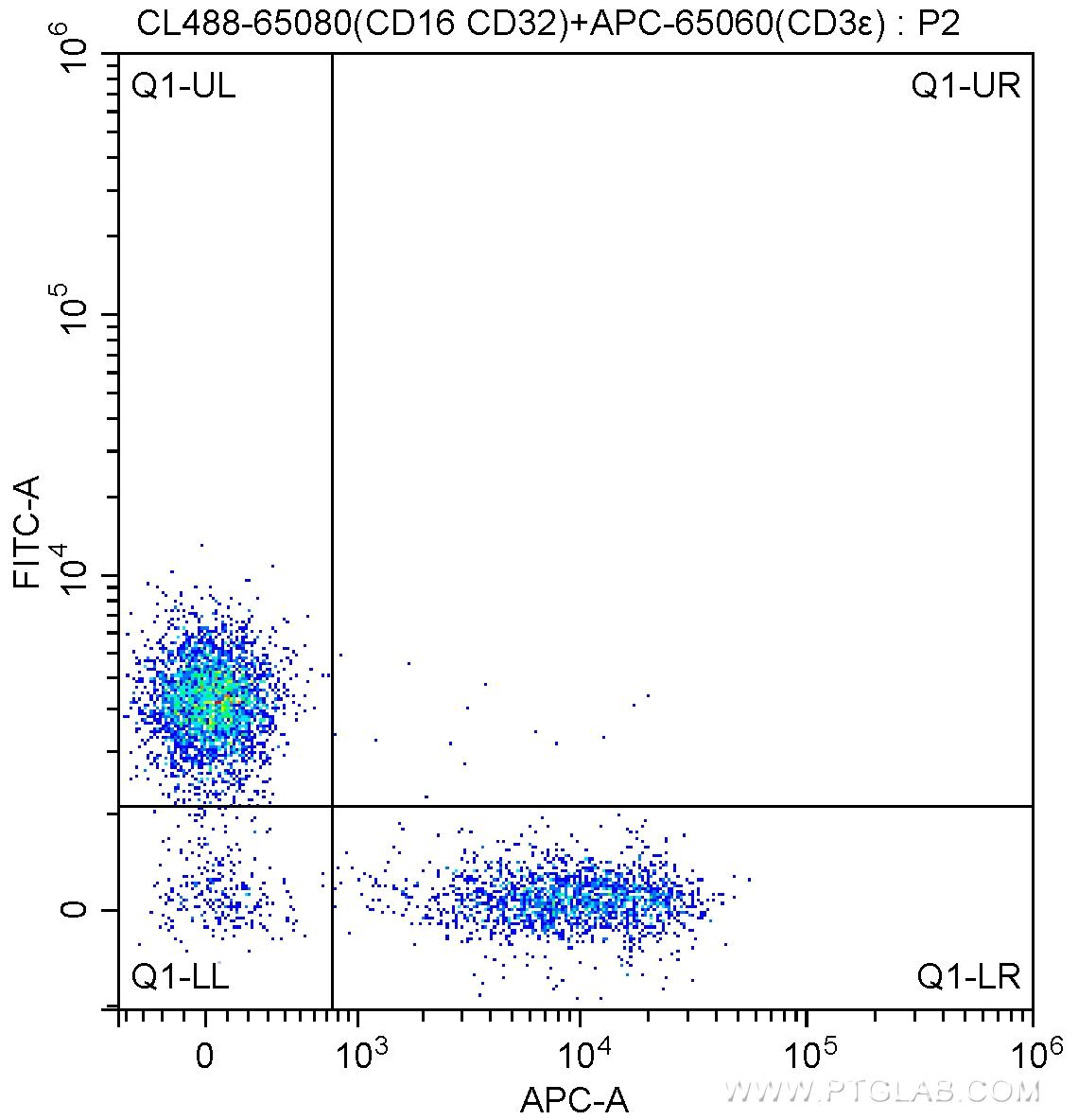1X10^6 C57BL/6 mouse splenocytes were surface stained with APC-Anti-Mouse CD3ε (APC-65060, Clone: 145-2C11) and 5 ul CoraLite®488-conjugated Anti-Mouse CD16 / CD32 (CL488-65080, Clone: 2.4G2). Cells were not fixed.
