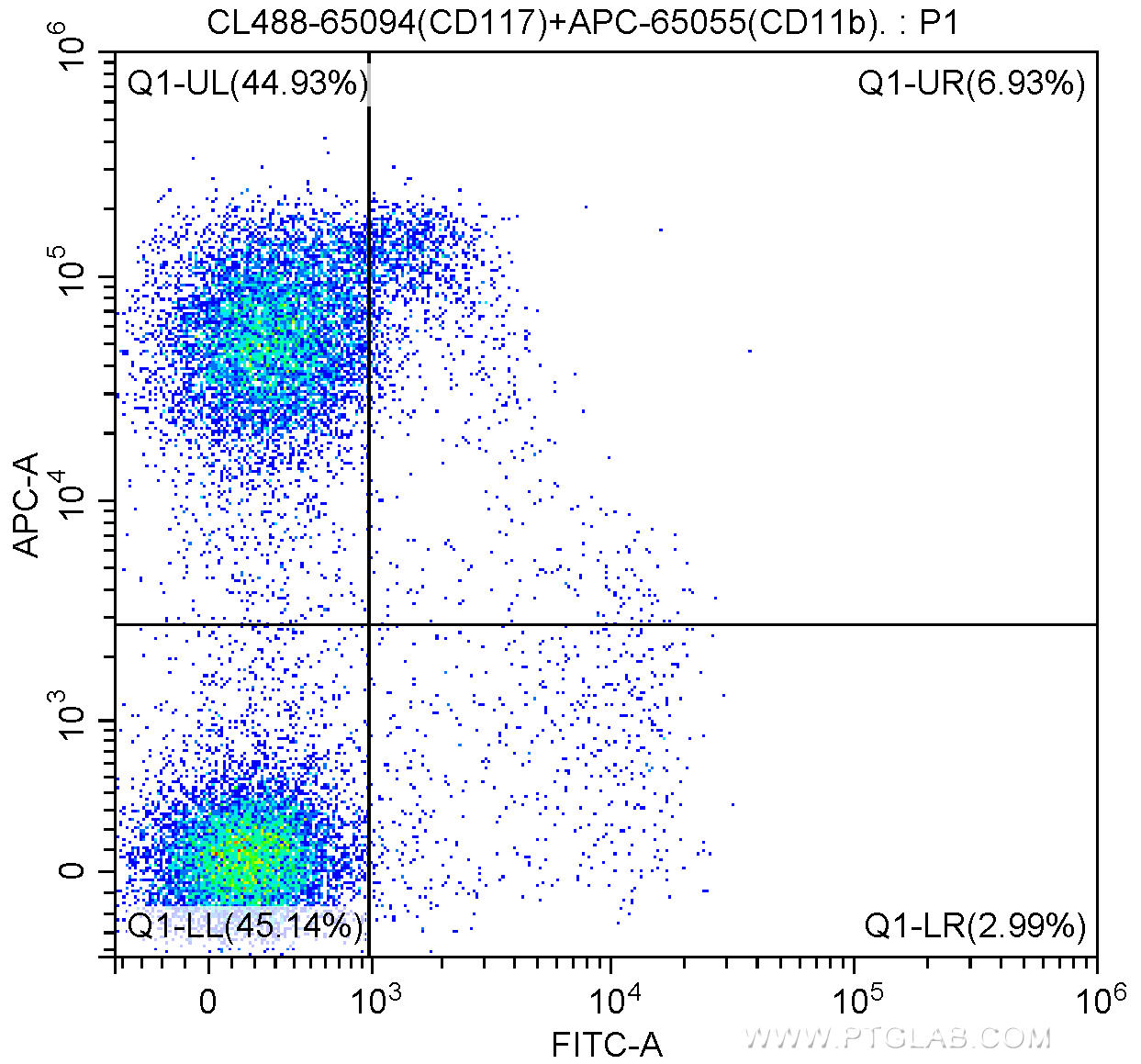 1X10^6 C57BL/6 mouse bone marrow cells were surface stained with APC-Anti-Mouse CD11b (APC-65055, Clone: M1/70) and 5.00 ul CoraLite®488-conjugated Anti-Mouse CD117 (c-Kit) (CL488-65094, Clone: ACK2). Cells were not fixed.