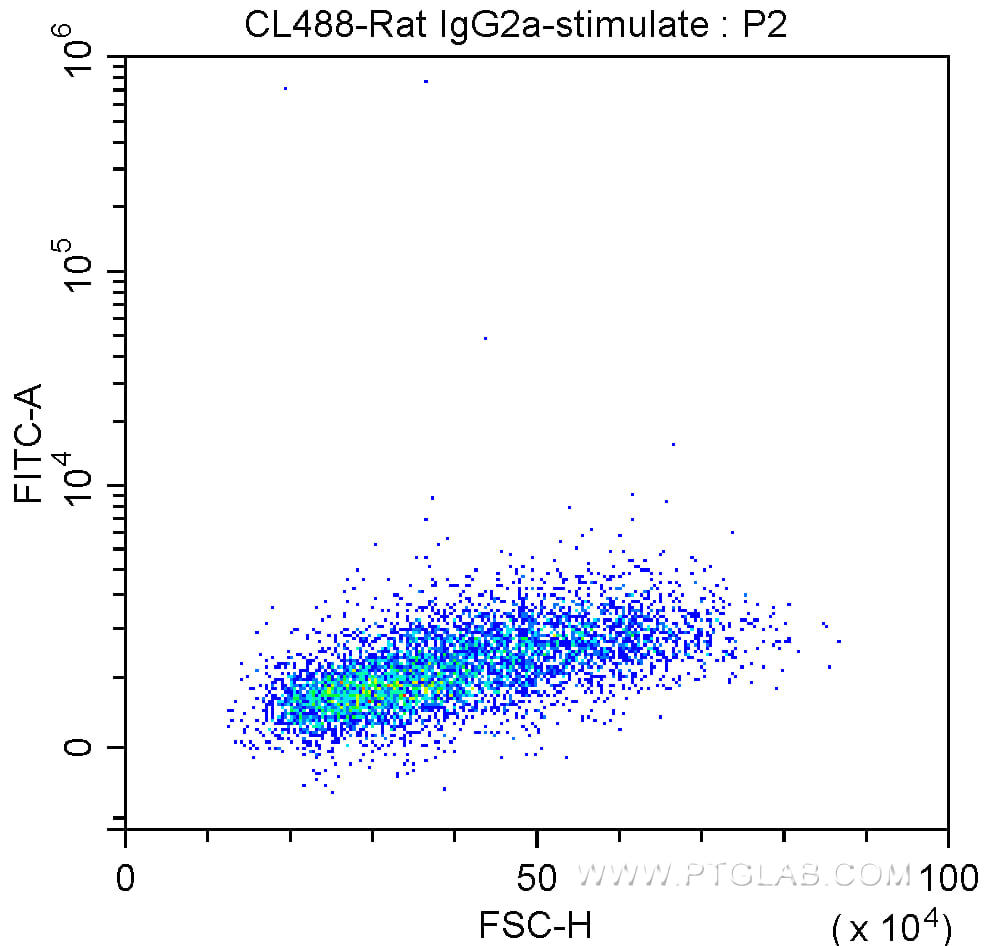 IFN-γ primed Balb/c mouse peritoneal macrophages stimulated with LPS in the presence of a protein transport inhibitor were treated with fixation and permeabilization reagents and intracellularly stained with 0.25 ug CoraLite®488-conjugated Rat IgG2a Isotype Control.