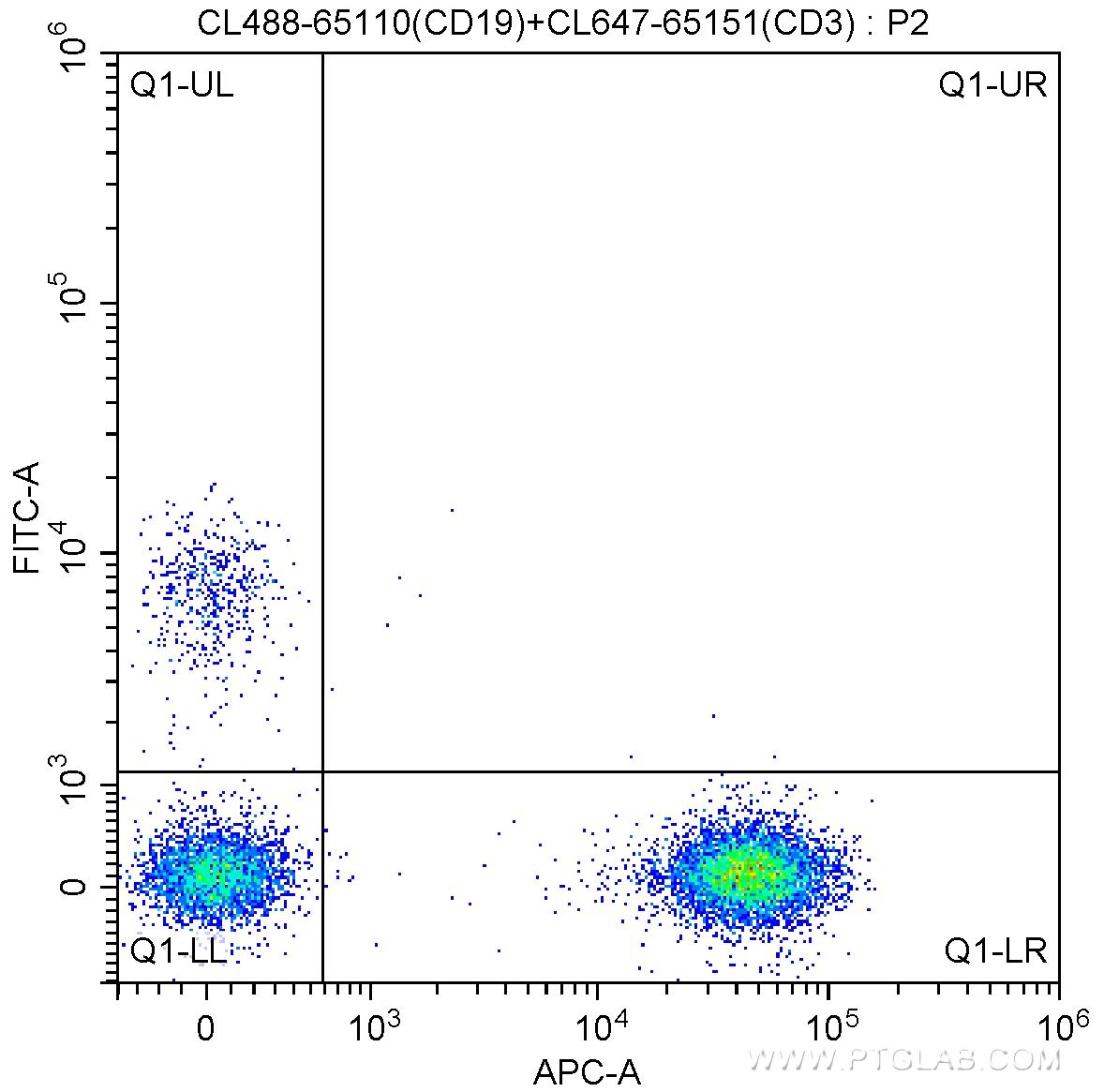 1X10^6 human peripheral blood lymphocytes were surface stained with 5 ul CoraLite®647-conjugated Anti-Human CD3 (CL647-65151, Clone: UCHT1) and 5 ul CoraLite®488-conjugated Anti-Human CD19 (CL488-65110, Clone: HIB19). Cells were not fixed.
