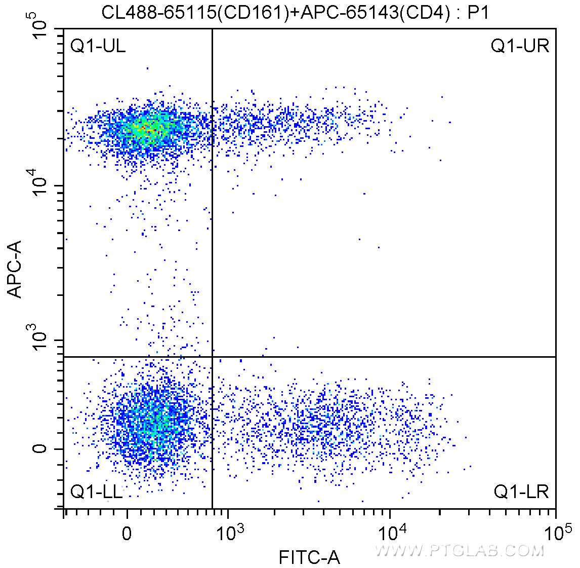100 ul human peripheral blood were surface stained with APC-Anti-Human CD4 (APC-65143, Clone: RPA-T4) and 5.00 ul CoraLite®488-conjugated Anti-Human CD161 (CL488-65115, Clone:HP-3G10). Lymphocytes were gated for analysis. Cells were not fixed.