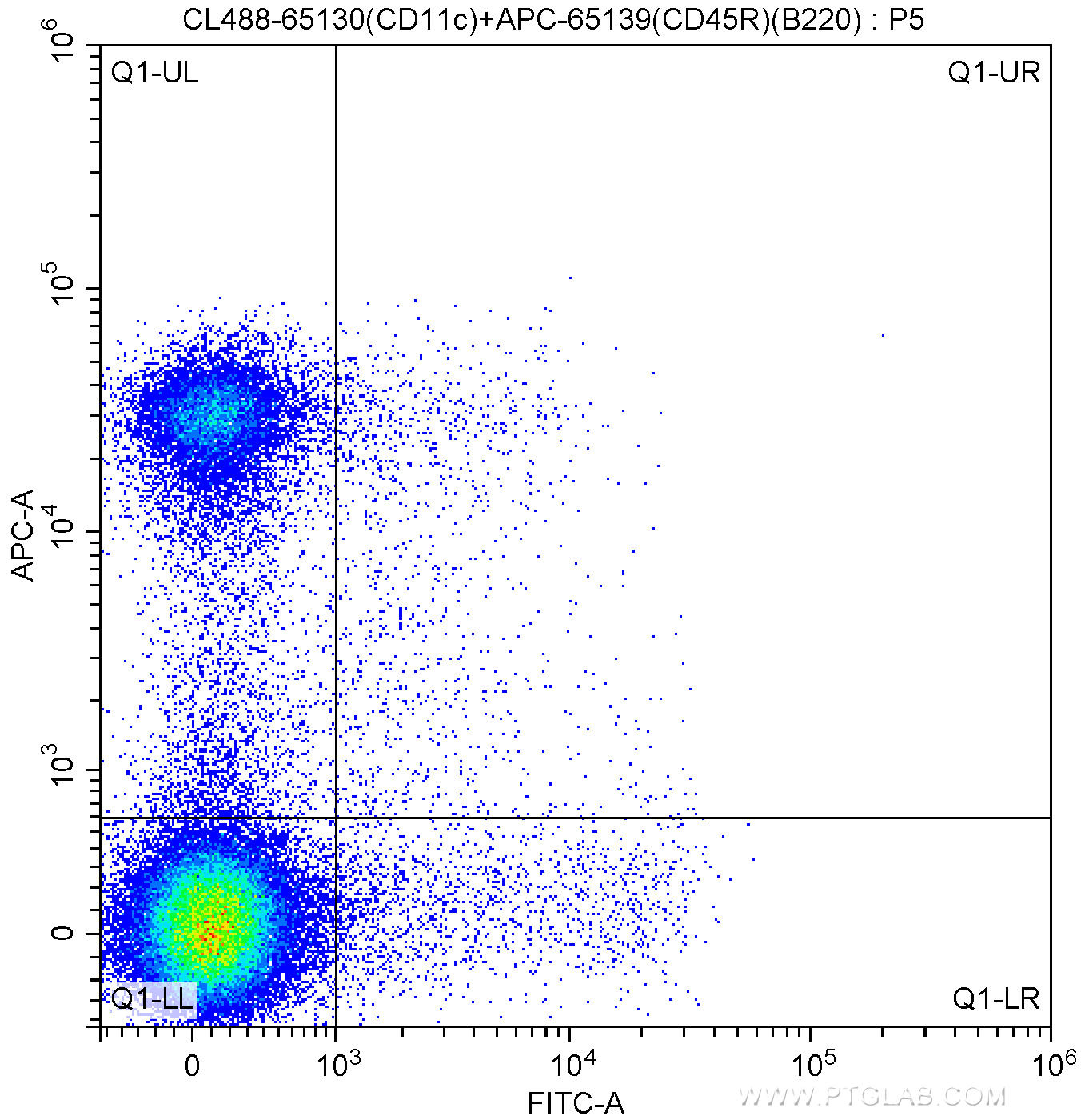 1X10^6 C57BL/6 mouse splenocytes were surface stained with APC Anti-Mouse CD45R (B220) (APC-65139, Clone: RA3-6B2) and 5.00 ul CoraLite®488-conjugated Anti-Mouse CD11c (CL488-65130, Clone: N418). Cells were not fixed.