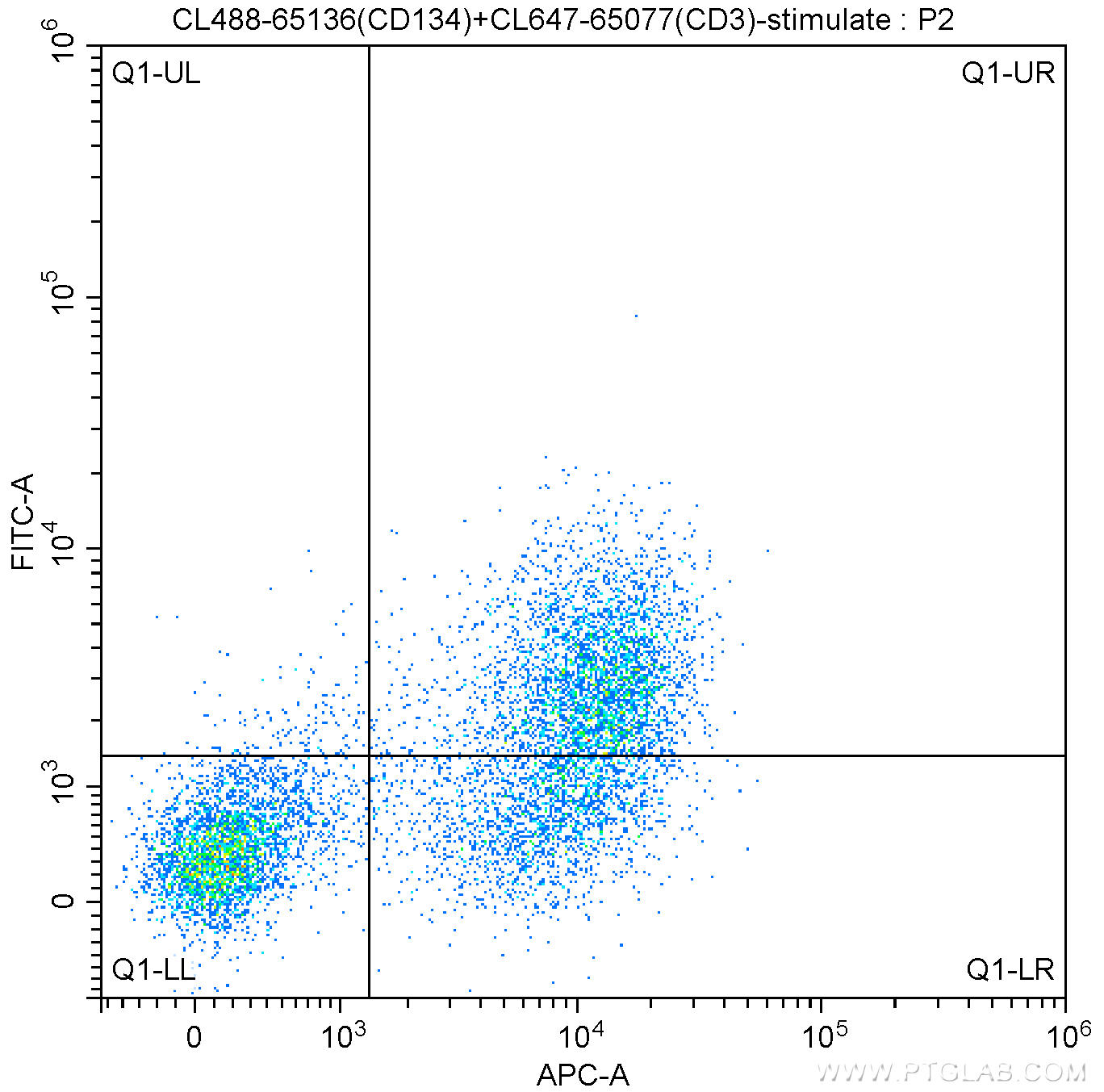 1X10^6 Con A-stimulated (3 ug/ml, 2 days) BALB/c mouse splenocytes were surface stained with CoraLite®647-Conjugated Anti-Mouse CD3 (CL647-65077, Clone: 17A2) and 5 ul CoraLite®488 Anti-Mouse CD134 (CL488-65136, Clone: OX-86). Cells were not fixed.