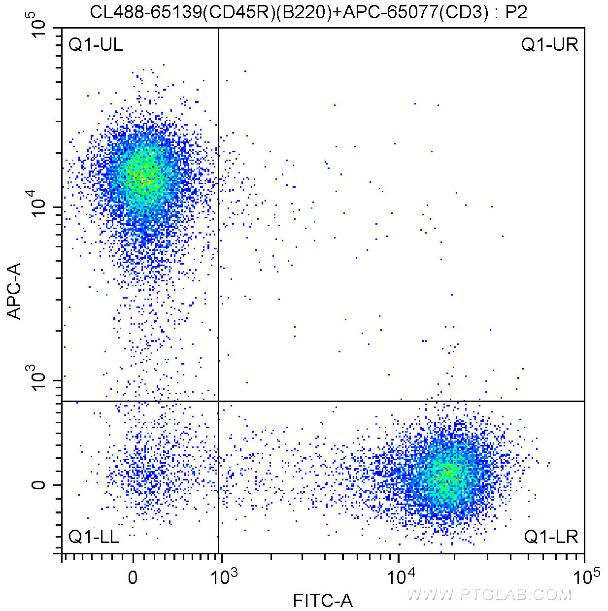 1X10^6 C57BL/6 mouse splenocytes were surface stained with APC-Anti-Mouse CD3 (APC-65077, Clone: 17A2) and 5.00 ul CoraLite®488-conjugated Anti-Mouse CD45R (B220) (CL488-65139, Clone: RA3-6B2). Cells were not fixed.