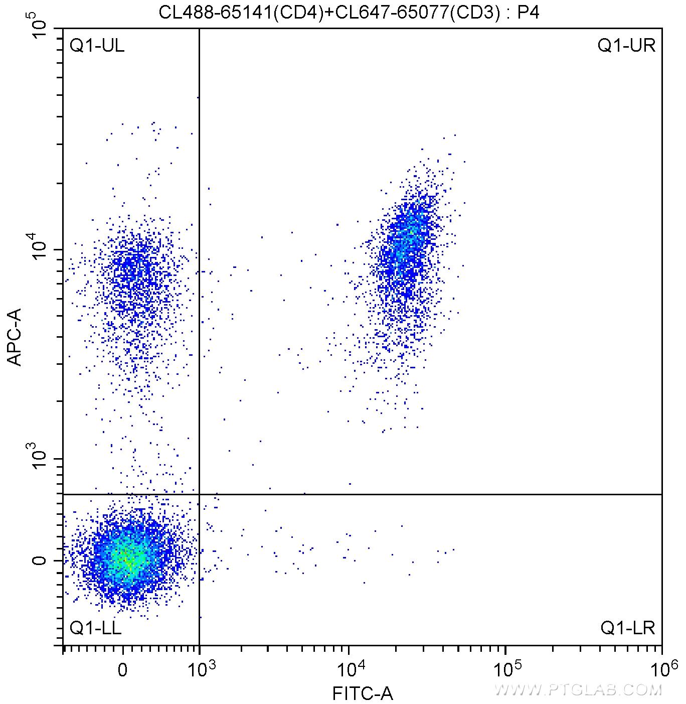 1X10^6 C57BL/6 mouse splenocytes were surface stained with CoraLite®647-conjugated Anti-Mouse CD3 (CL647-65077, Clone: 17A2) and 5.00 ul CoraLite®488-conjugated Anti-Mouse CD4 (CL488-65141, Clone: RM4-5). Cells were not fixed.