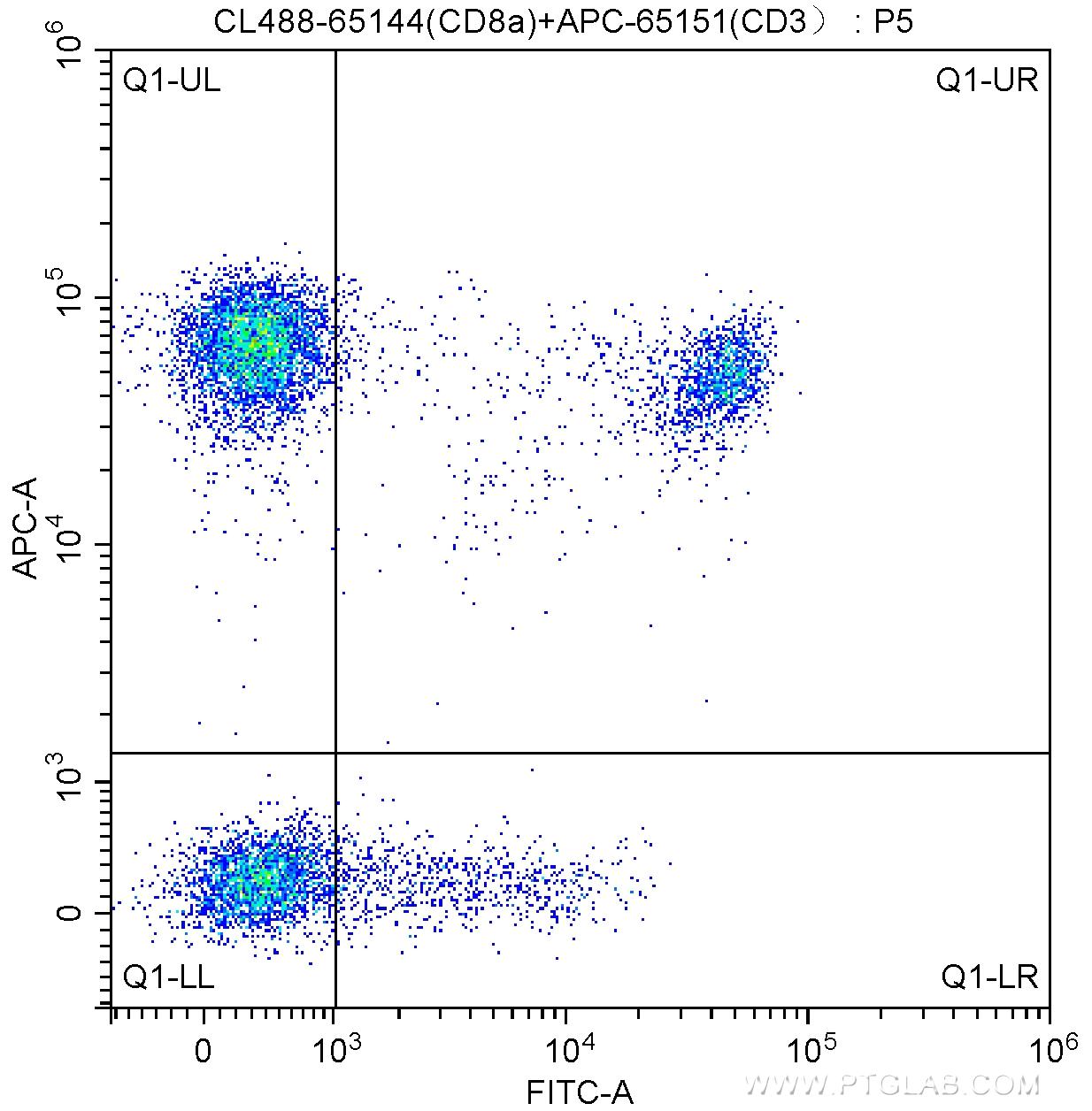 100 ul human peripheral blood were surface stained with APC Anti-Human CD3 (APC-65151, Clone: UCHT1) and 5.00 ul CoraLite®488-conjugated Anti-Human CD8a (CL488-65144, Clone: RPA-T8). Lymphocytes were gated for analysis. Cells were not fixed.