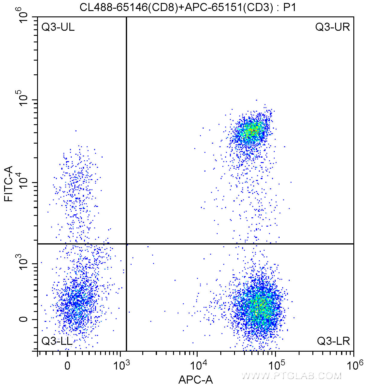 100 ul human peripheral blood were surface stained with APC Anti-Human CD3 (APC-65151, Clone: UCHT1) and 5.00 ul CoraLite®488-conjugated Anti-Human CD8 (CL488-65146, Clone: SK1). Lymphocytes were gated for analysis. Cells were not fixed.