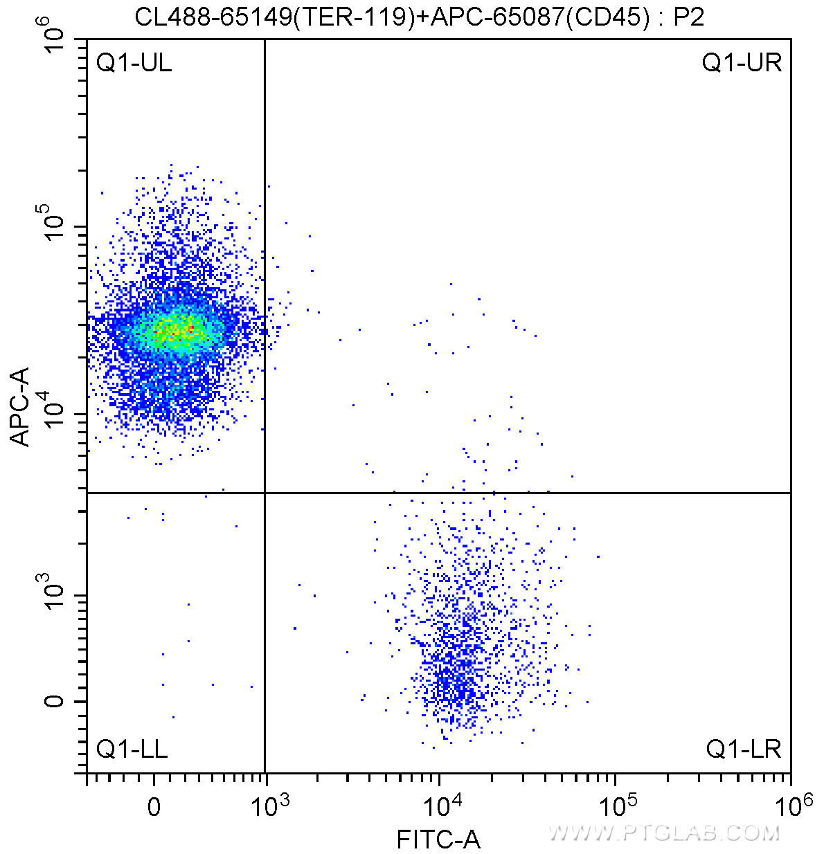 1X10^6 C57BL/6 mouse bone marrow cells were surface stained with APC-Anti-Mouse CD45 (APC-65087, Clone: 30-F11) and 5.00 ul CoraLite®488-conjugated Anti-Mouse TER-119 (CL488-65149, Clone: TER-119). Cells were not fixed.