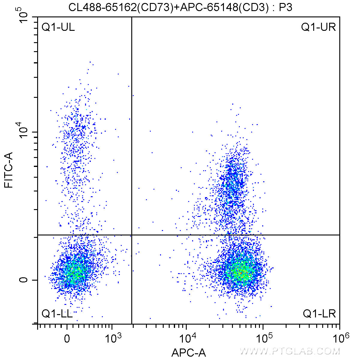1X10^6 human peripheral blood lymphocytes were surface stained with APC-Anti-Human CD3 (APC-65148, Clone: SK7) and 5 ul CoraLite®488-conjugated Anti-Human CD73 (CL488-65162, Clone: AD2). Samples were not fixed.