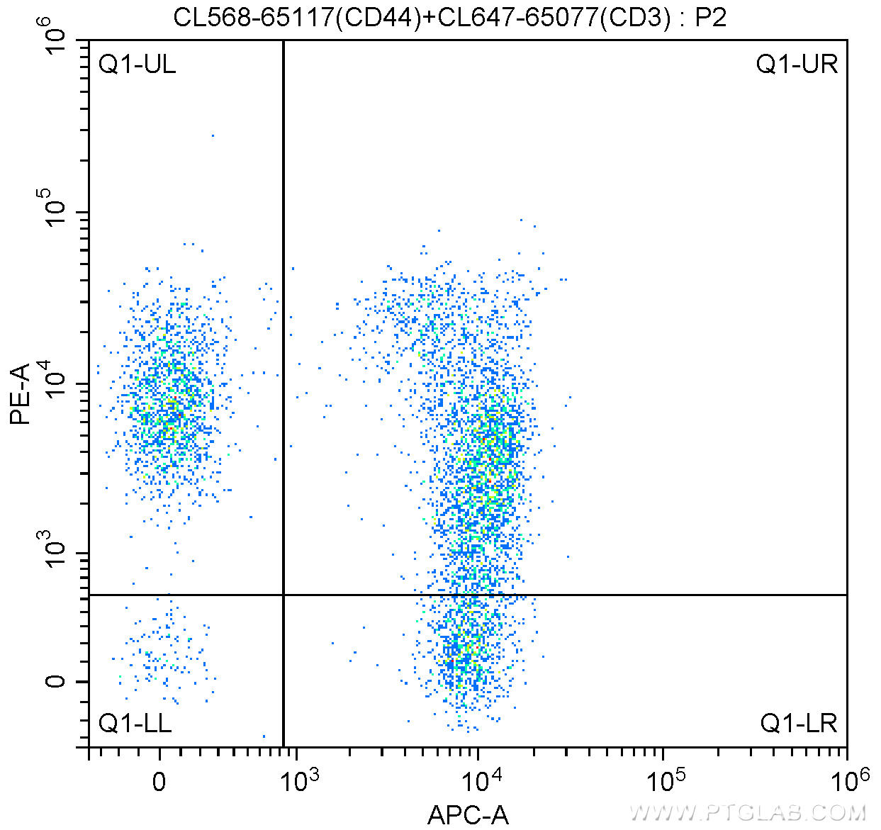 1X10^6 mouse splenocytes were surface stained with 5 ul CoraLite®488 Anti-Mouse CD3 (CL488-65077, Clone: 17A2) and 5 ul CoraLite®647 Anti-Mouse CD44 (CL647-65117, Clone: IM7). Cells were not fixed.