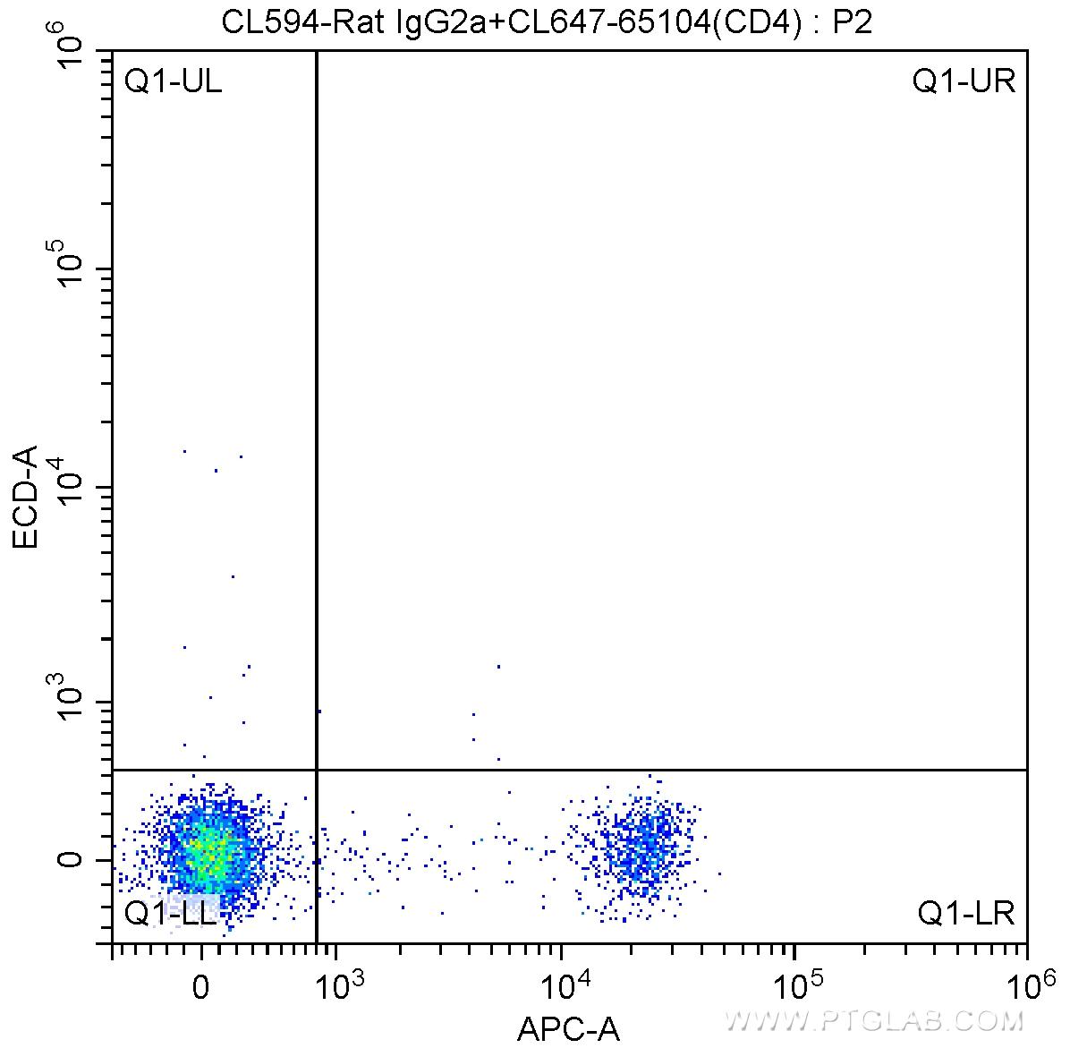 1X10^6 mouse splenocytes were surface stained with CoraLite®647-conjugated Anti-Mouse CD4 (CL647-65104, Clone: GK1.5) and CoraLite®594-conjugated Rat IgG2a isotype control antibody. Cells were not fixed.