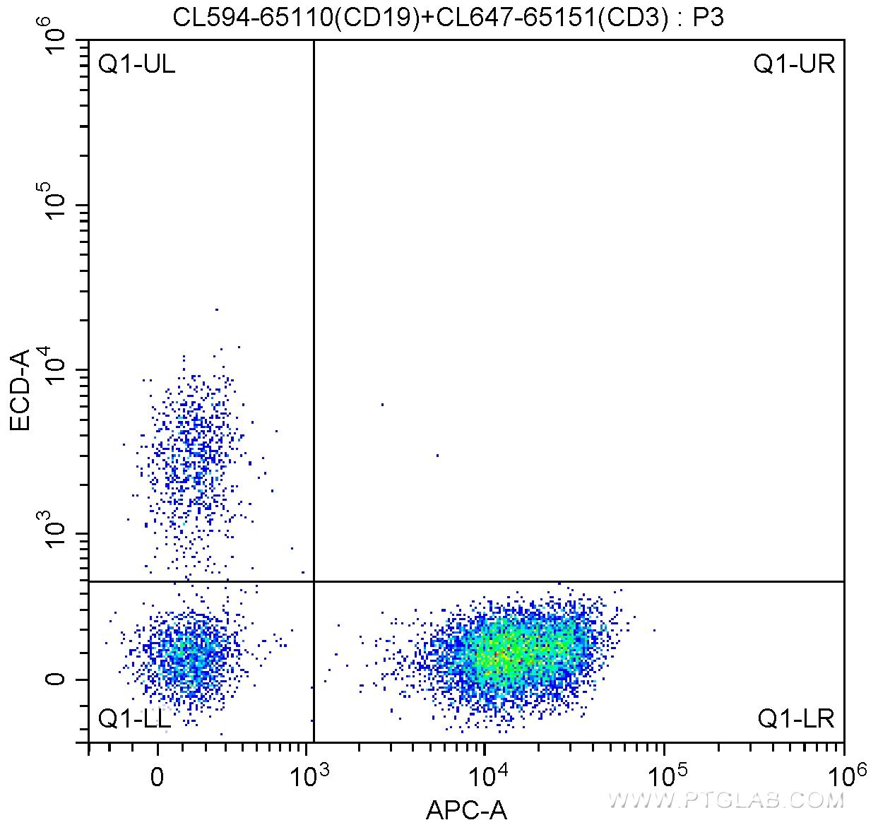 1X10^6 human peripheral blood lymphocytes were surface stained with 5 ul CoraLite®647-conjugated Anti-Human CD3 (CL647-65151, Clone: UCHT1) and 5 ul CoraLite®594 Anti-Human CD19 (CL594-65110, Clone:HIB19). Cells were not fixed.