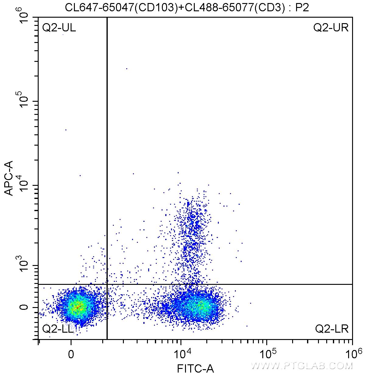 1X10^6 C57BL/6 mouse splenocytes were surface stained with CoraLite®488-conjugated Anti-Mouse CD3 antibody (CL488-65077, Clone: 17A2) and 5.00 ul CoraLite®647-conjugated Anti-Mouse CD103 (CL647-65047, Clone: 2E7). Cells were not fixed.