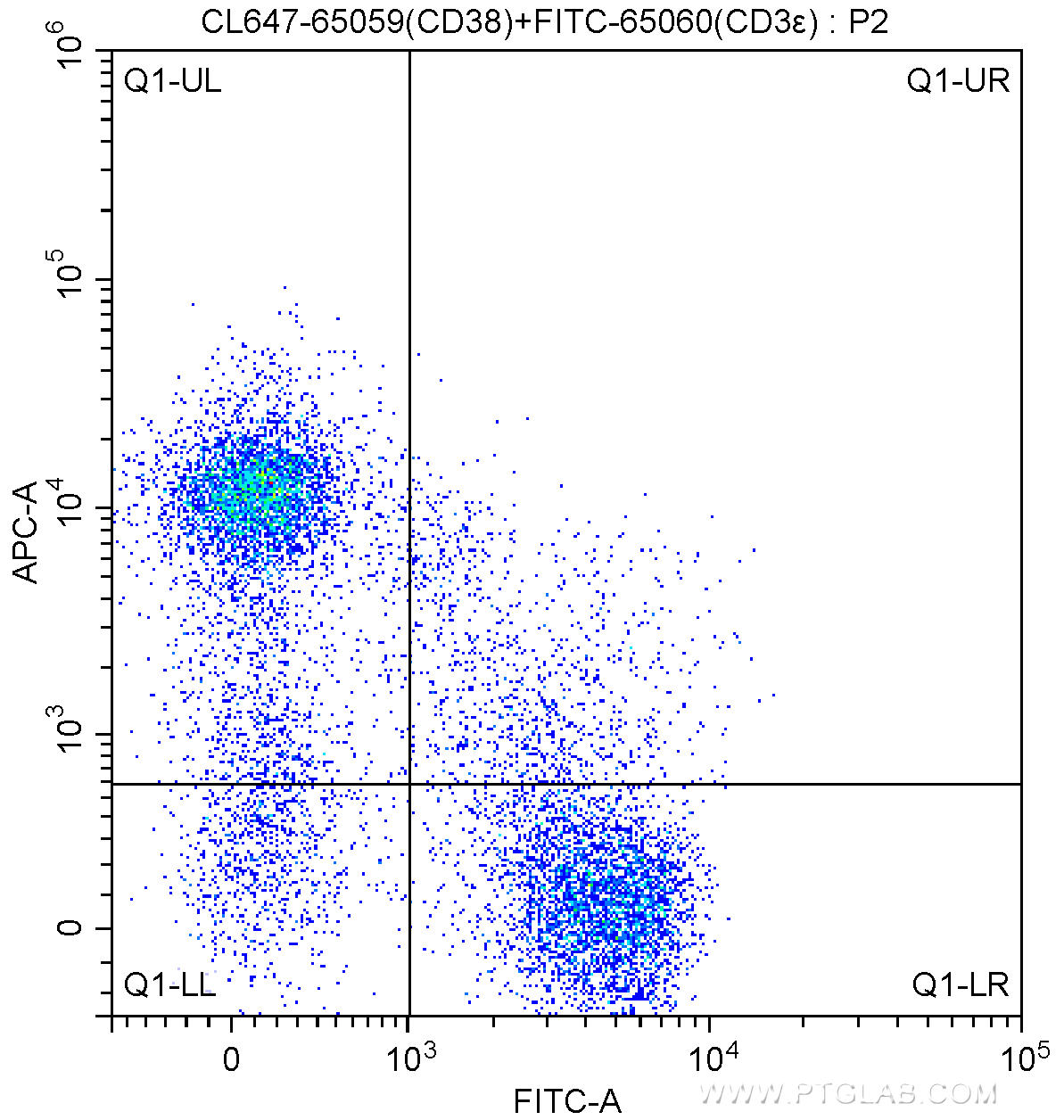 1X10^6 C57BL/6 mouse splenocytes were surface stained with FITC Anti-Mouse CD3ε (FITC-65060, Clone: 145-2C11) and 5.00 ul CoraLite®647-conjugated Anti-Mouse CD38 (CL647-65059, Clone: 90). Cells were not fixed.