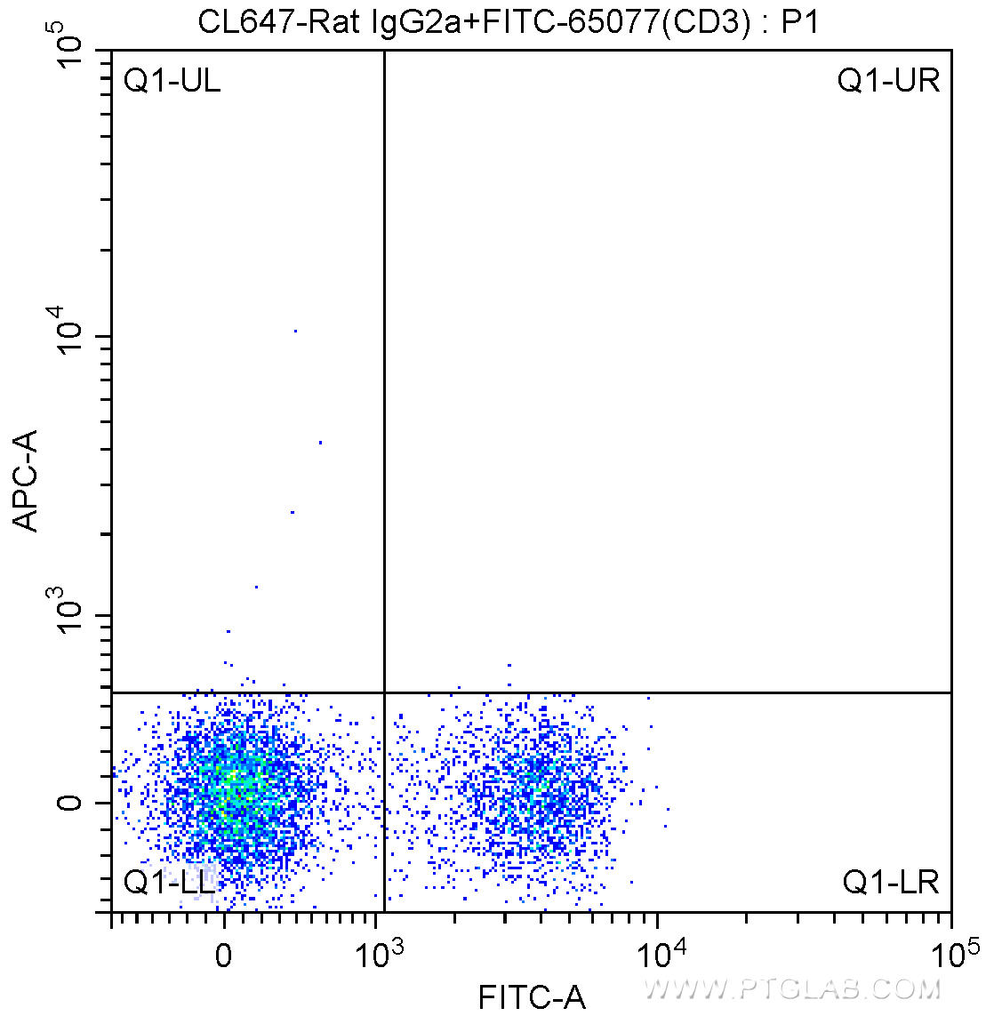 1X10^6 C57BL/6 mouse splenocytes were surface stained with FITC-Anti-Mouse CD3 (FITC-65077, Clone: 17A2) and CoraLite®647-conjugated Rat IgG2a isotype control antibody. Cells were not fixed.