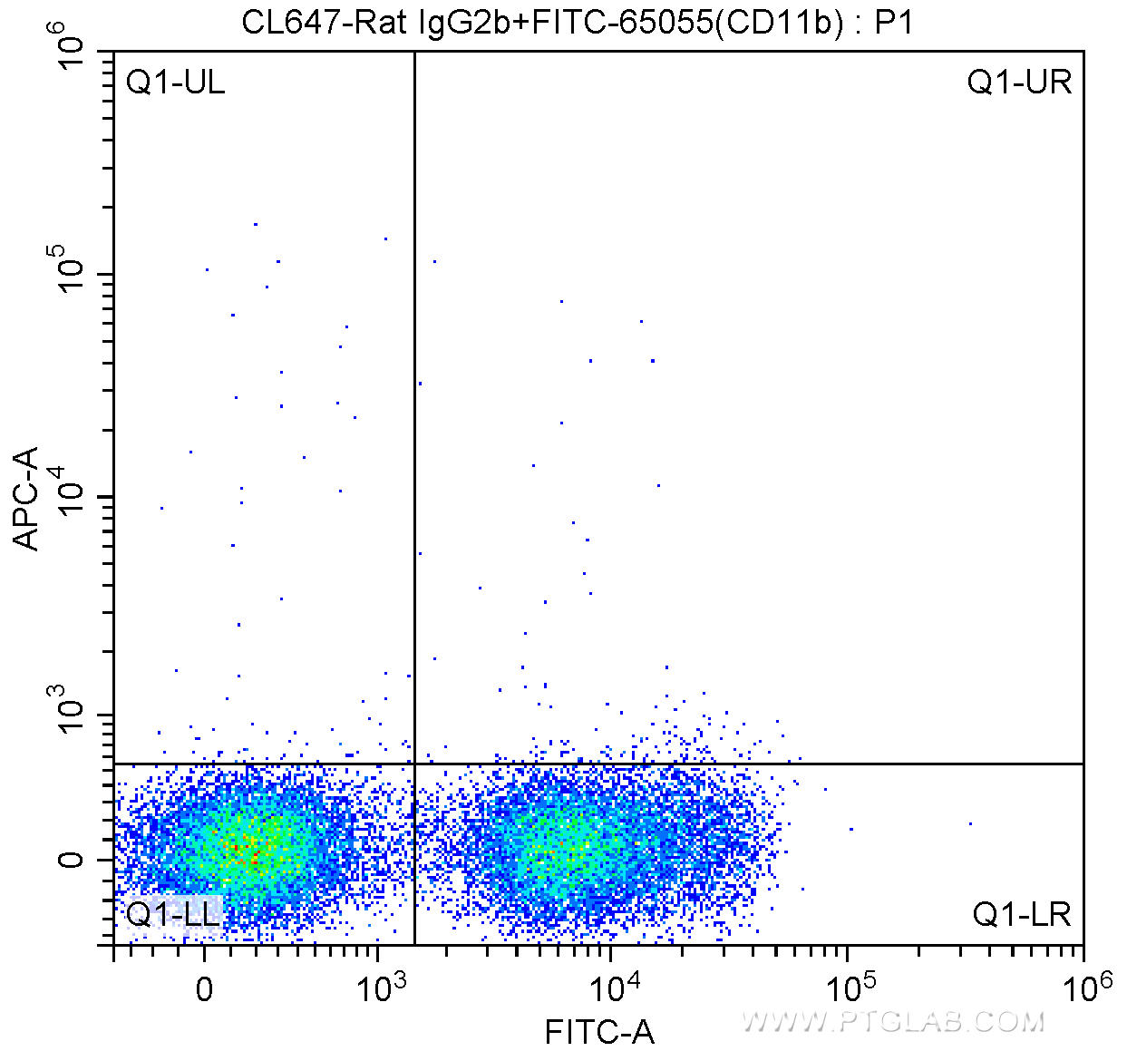 1X10^6 C57BL/6 mouse bone marrow cells were surface stained with FITC-Anti-Mouse CD11b (FITC-65055, Clone: M1/70) and CoraLite®647-conjugated Rat IgG2b isotype control antibody. Cells were not fixed.