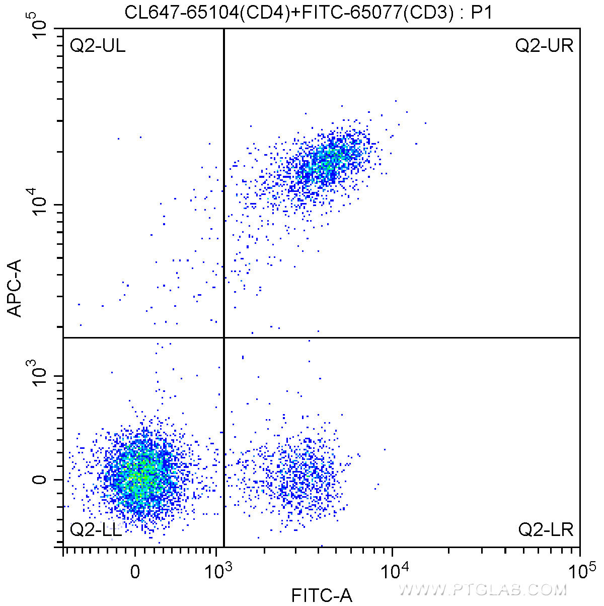 1X10^6 C57BL/6 mouse splenocytes were surface stained with FITC-Anti-Mouse CD3 (FITC-65077, Clone: 17A2) and 5.00 ul CoraLite®647-conjugated Anti-Mouse CD4 (CL488-65104, Clone: GK1.5). Cells were not fixed.