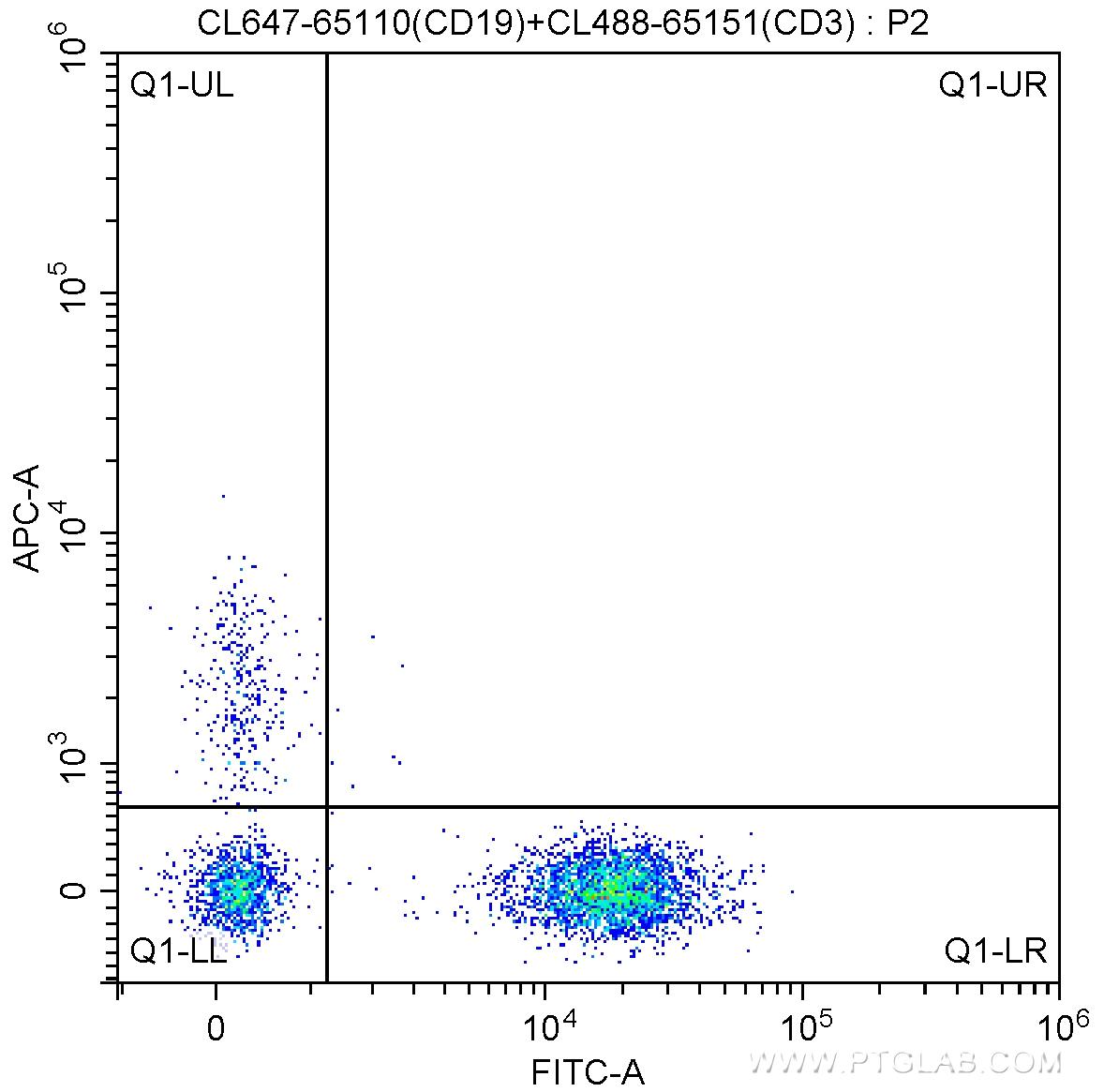 X10^6 human peripheral blood lymphocytes were surface stained with 5 ul CoraLite®488-conjugated Anti-Human CD3 (CL488-65151, Clone: UCHT1) and 5 ul CoraLite®647-conjugated Anti-Human CD19 (CL647-65110, Clone: HIB19). Cells were not fixed.
