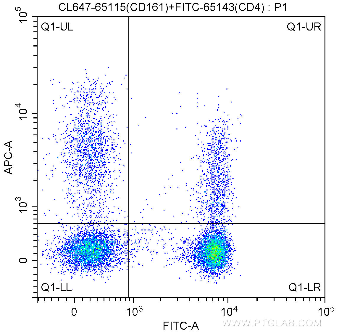 100 ul human peripheral blood were surface stained with FITC-Anti-Human CD4 (FITC-65143, Clone: RPA-T4) and 5.00 ul CoraLite®647-conjugated Anti-Human CD161 (CL647-65115, Clone:HP-3G10). Lymphocytes were gated for analysis. Cells were not fixed.