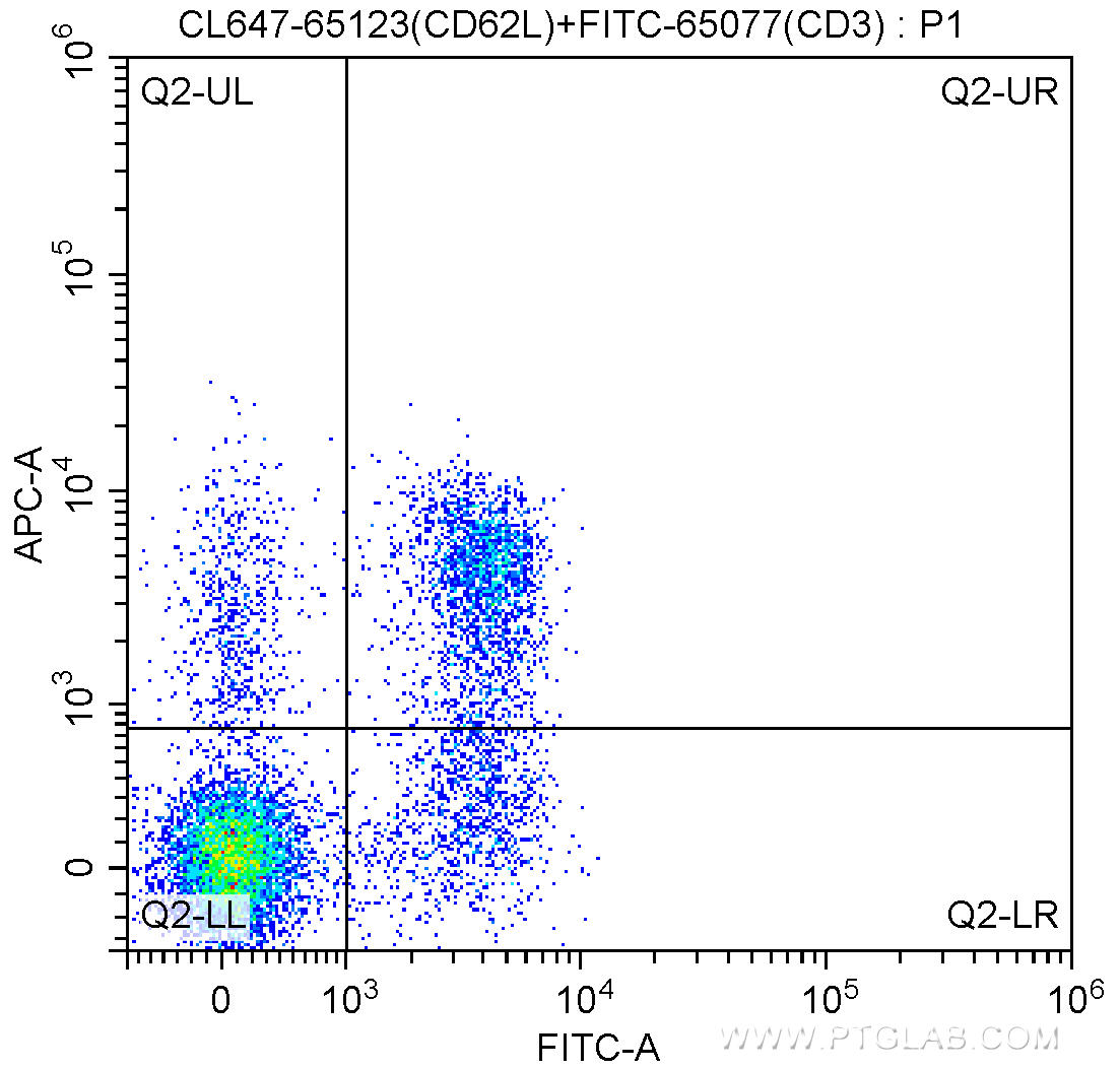 1X10^6 C57BL/6 mouse splenocytes were surface stained with FITC-Anti-Mouse CD3 (FITC-65077, Clone: 17A2) and 5.00 ul CoraLite®647-conjugated Anti-Mouse CD62L (L-Selectin) (CL647-65123, Clone: MEL-14). Cells were not fixed.
