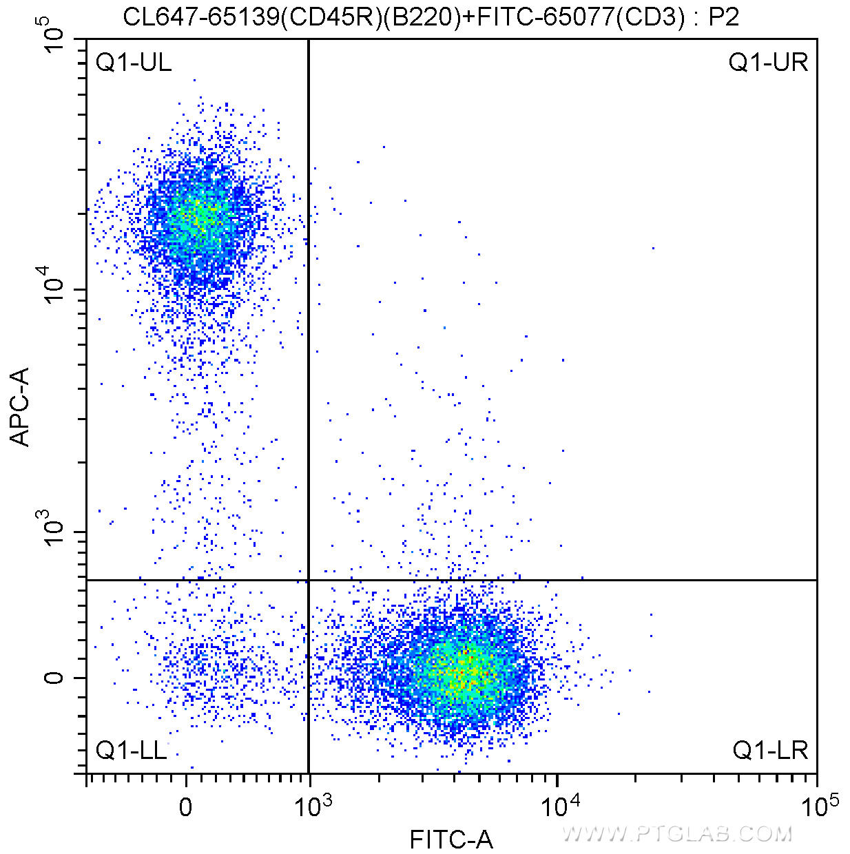 1X10^6 C57BL/6 mouse splenocytes were surface stained with FITC-Anti-Mouse CD3 (FITC-65077, Clone: 17A2) and 5.00 ul CoraLite®647-conjugated Anti-Mouse CD45R (B220) (CL647-65139, Clone: RA3-6B2). Cells were not fixed.