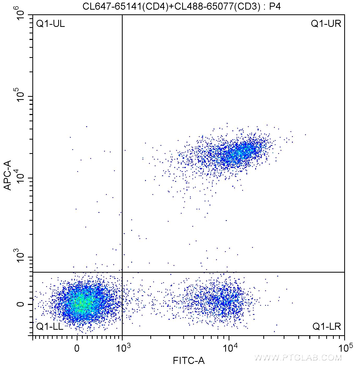 1X10^6 C57BL/6 mouse splenocytes were surface stained with CoraLite®488-conjugated Anti-Mouse CD3 (CL488-65077, Clone:17A2) and 5.00 ul CoraLite®647-conjugated Anti-Mouse CD4 (CL647-65141, Clone: RM4-5). Cells were not fixed.
