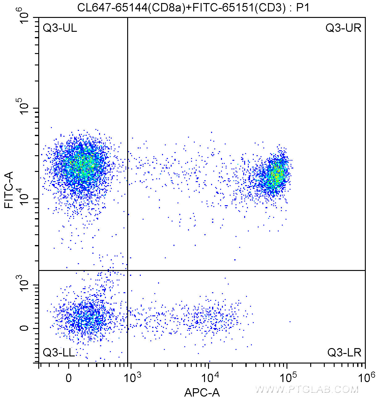 100 ul human peripheral blood were surface stained with FITC Anti-Human CD3 (FITC-65151, Clone: UCHT1) and 5.00 ul CoraLite®647-conjugated Anti-Human CD8a (CL647-65144, Clone: RPA-T8). Lymphocytes were gated for analysis. Cells were not fixed.