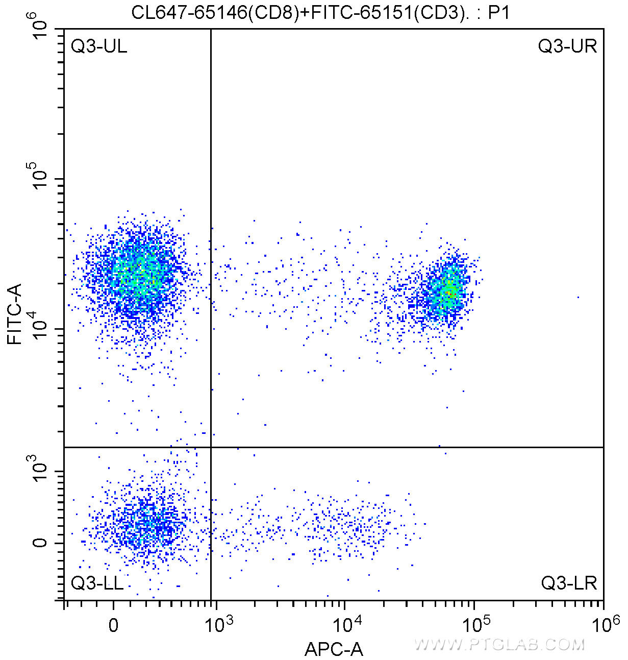 100 ul human peripheral blood were surface stained with FITC Anti-Human CD3 (FITC-65151, Clone: UCHT1) and 5.00 ul CoraLite®647-conjugated Anti-Human CD8 (CL647-65146, Clone: SK1). Lymphocytes were gated for analysis. Cells were not fixed.